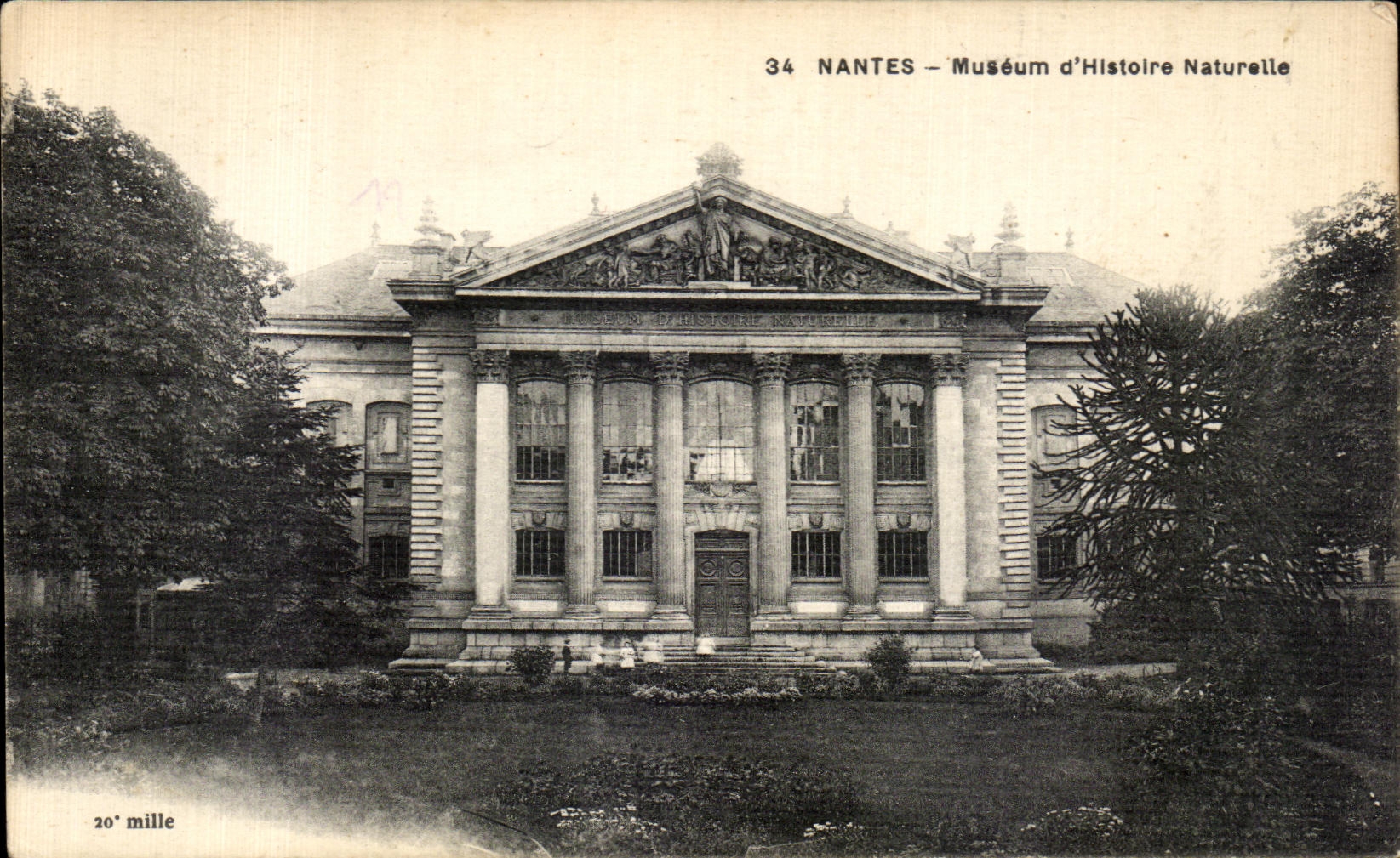 CPA Nantes Museum Natural history