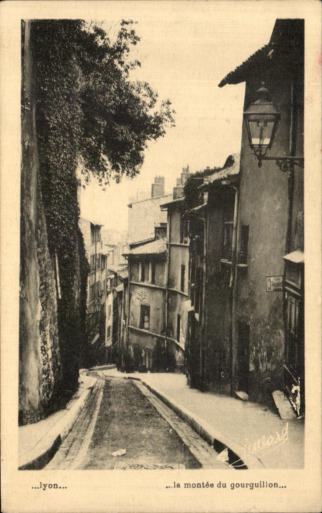 CPA Iyon rise of the gourguilion