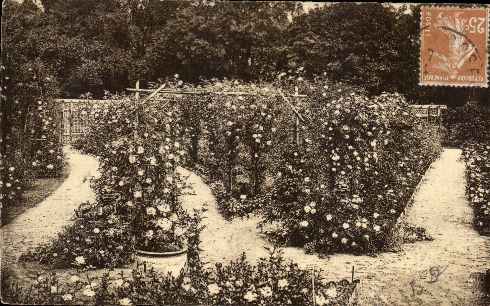 CPA La Roserale Japonalse