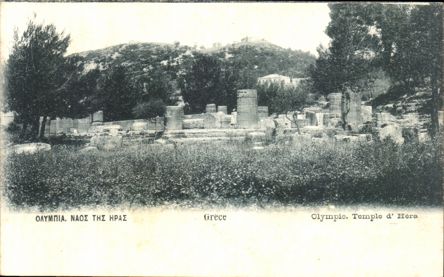 CPA Greece Greece Olympie Temple Hera