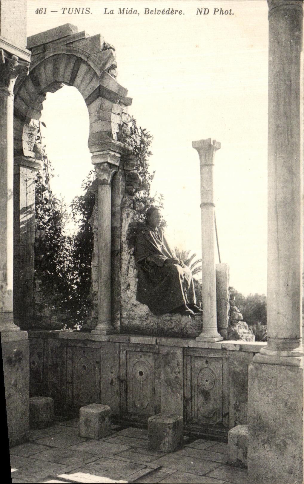 CPA Tunisie Tunis La Mida Belvedere
