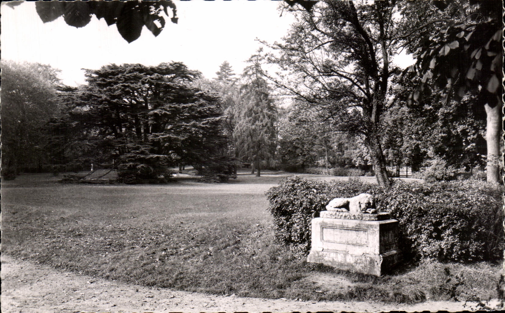 CPA Montmorency and the Cedar of Lebanon Lion
