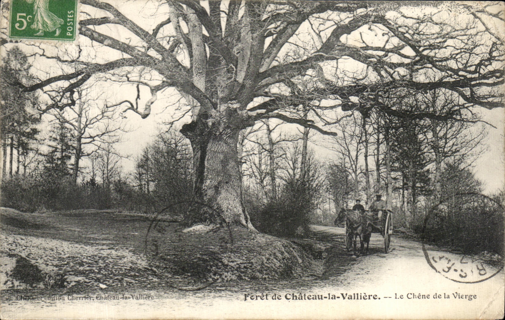 CPA Foret de Chateau la Valliere Le Chene de la Vierge