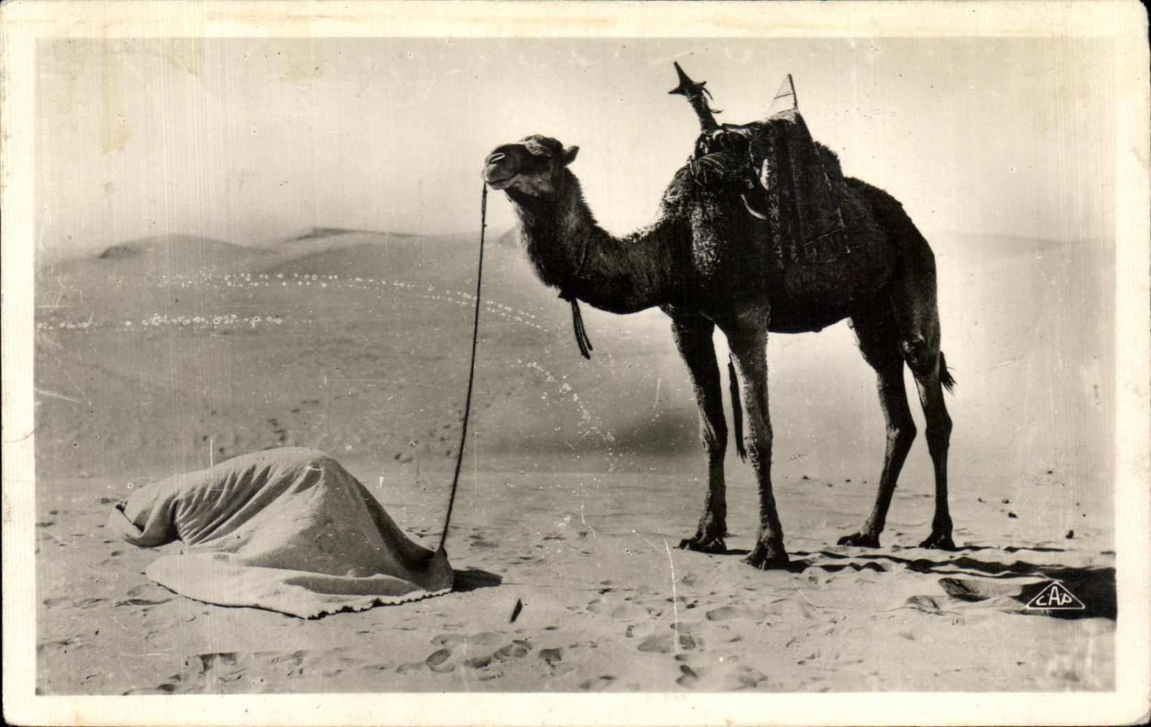 CPA Scenes et Types La priere du desert Tunisie