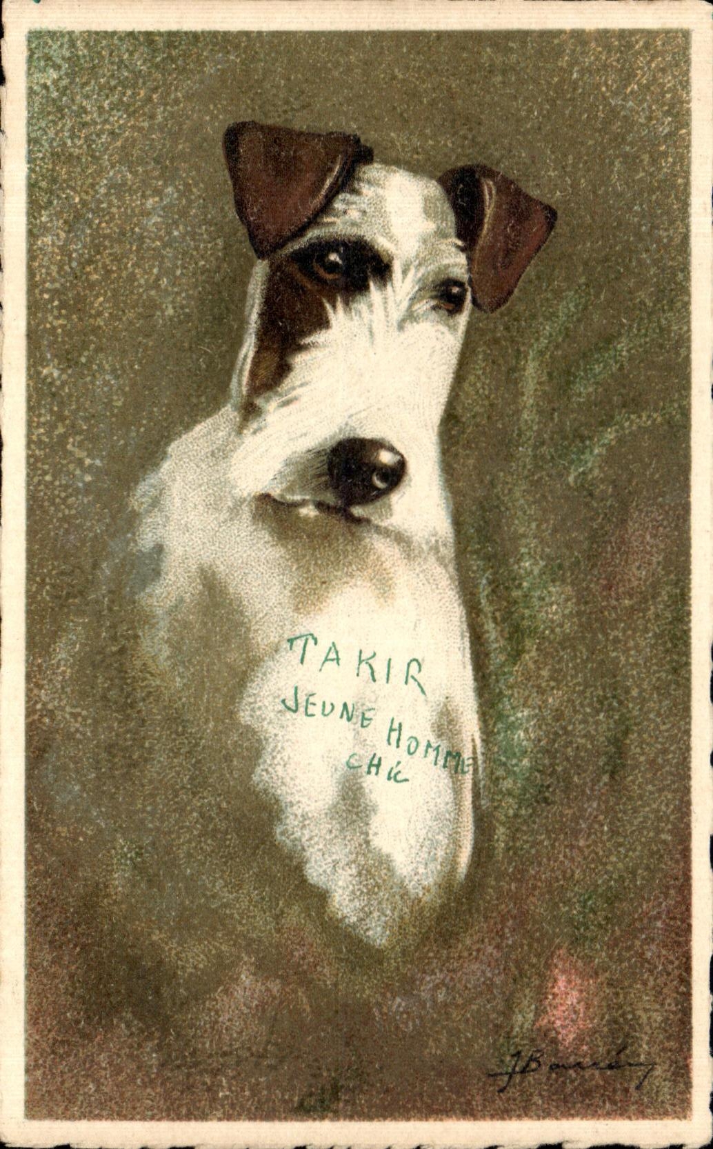 CPA Chien Dog Takir 