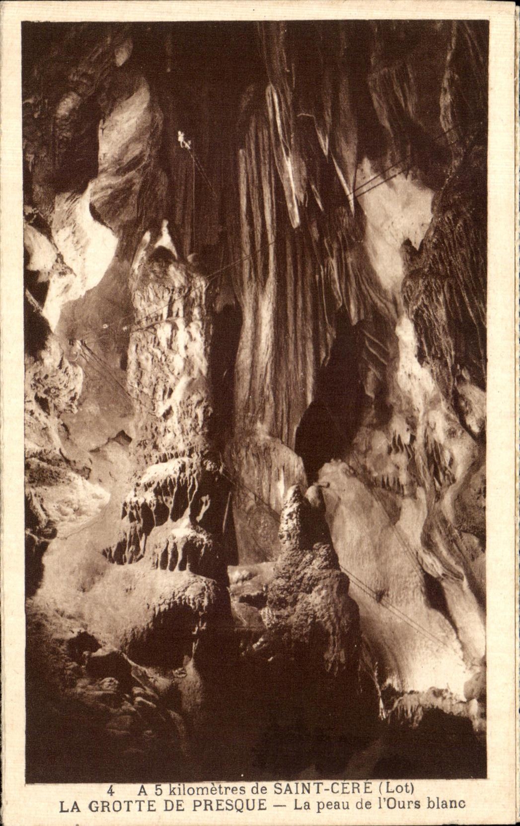 CPA Saint Cere the Cave Of Almost the skin of ourse white Bear