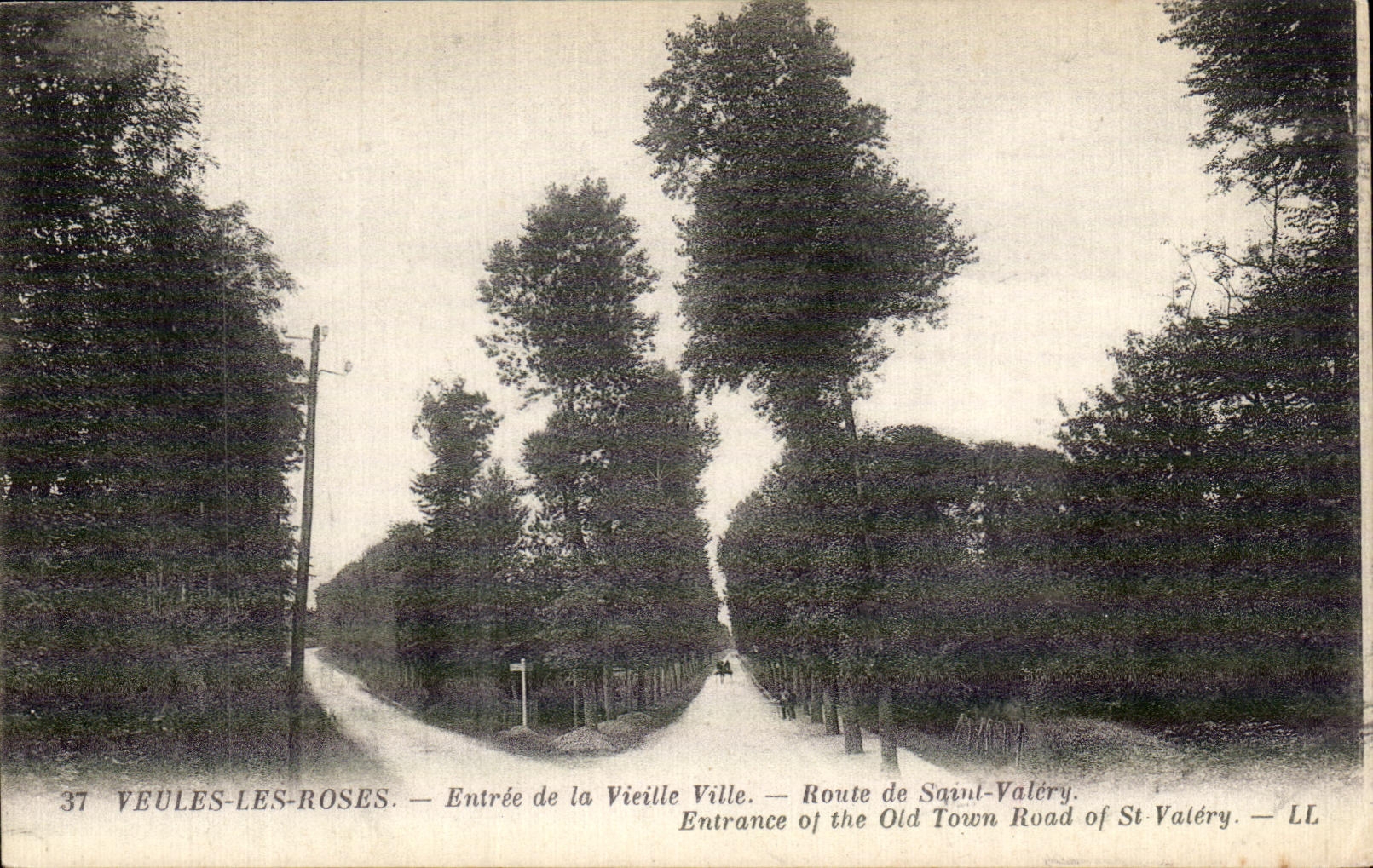 Weak CPA Roses Entrance of the Old City