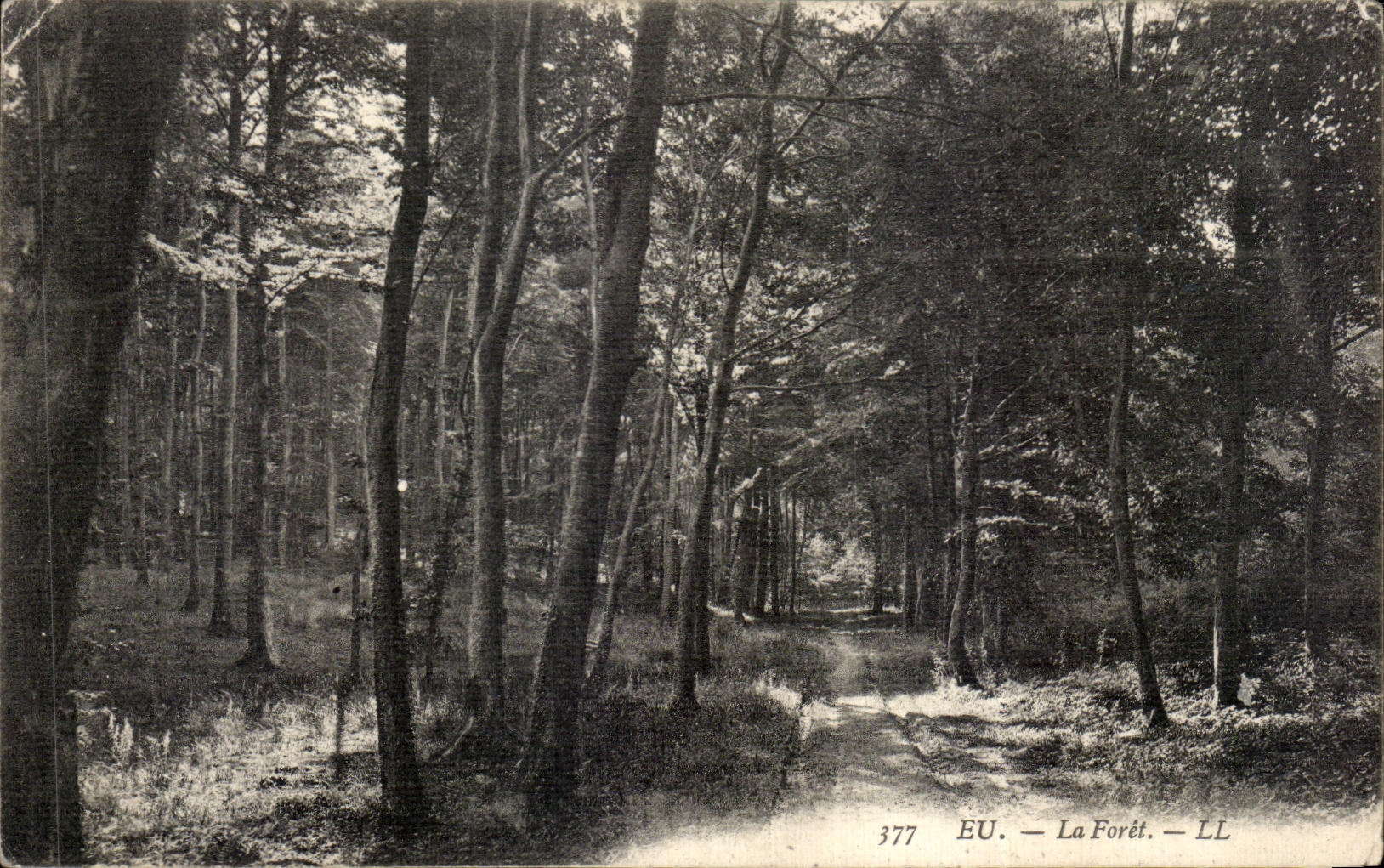 CPA Eu La Foret