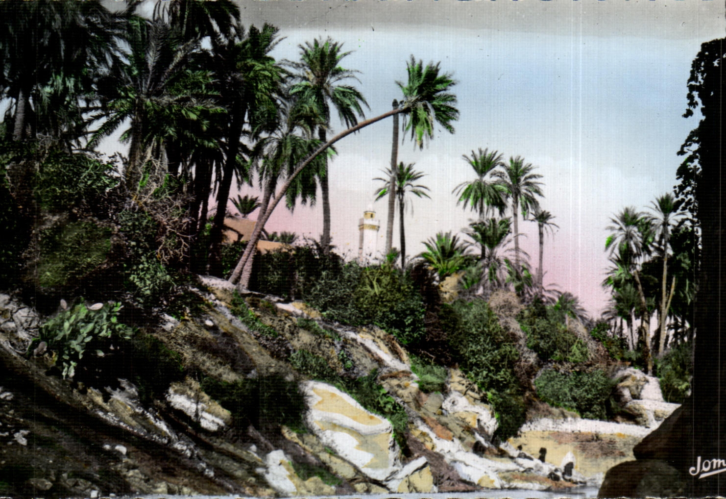 CPA Bou Saada Cite du Bonheur Les jardins