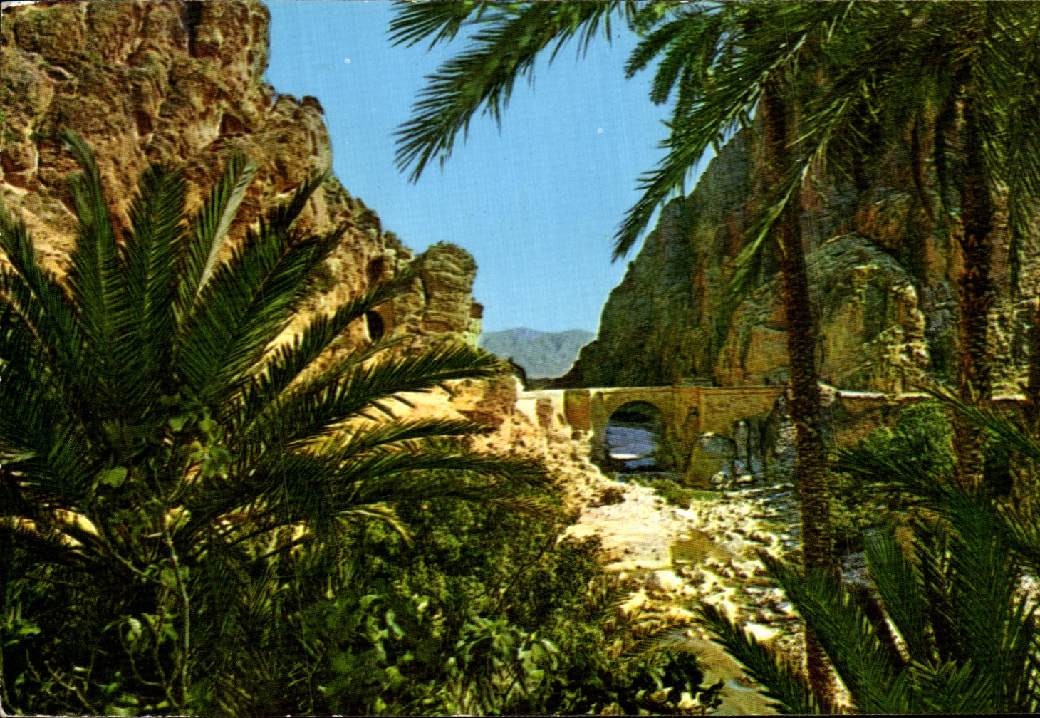 CPA Kiskra Les Garges The Gorges