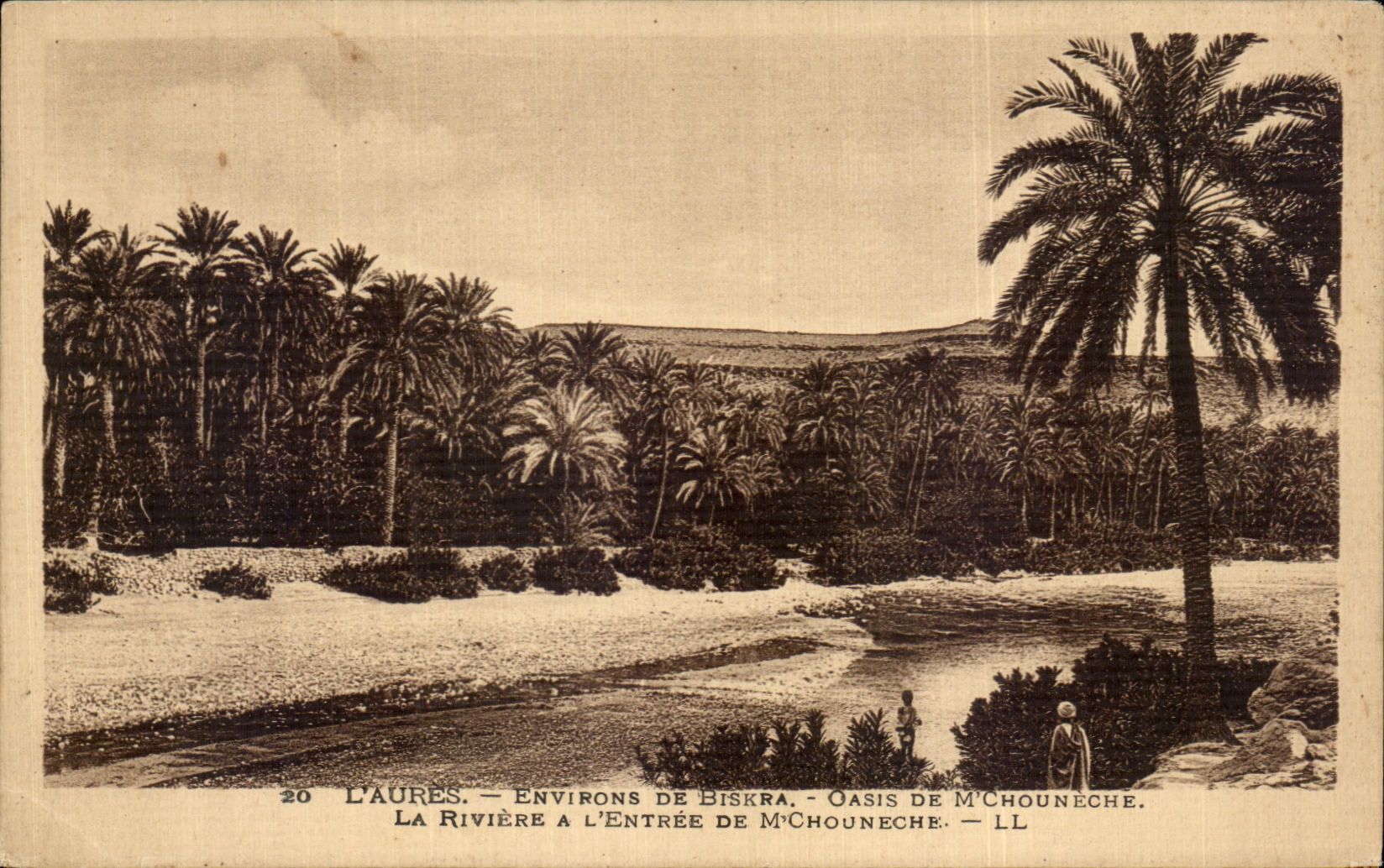 CPA L Aures Environs De Biskra Oasis de M Chouneche La riviere a l entree 