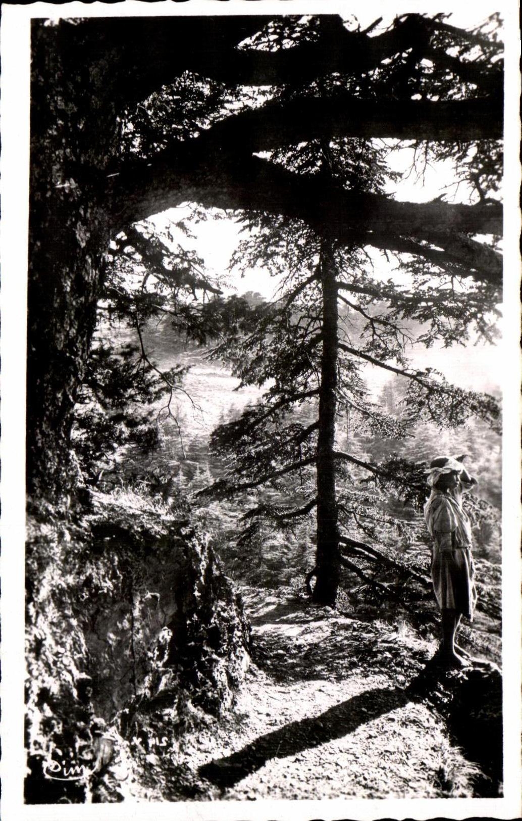 CPA Chrea Vers le chemin Abel