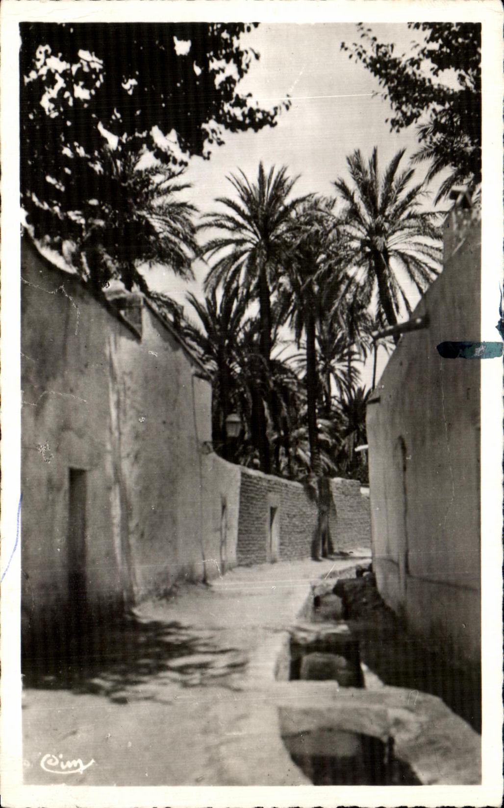 CPA Laghouat Une rue de la Grande Segu