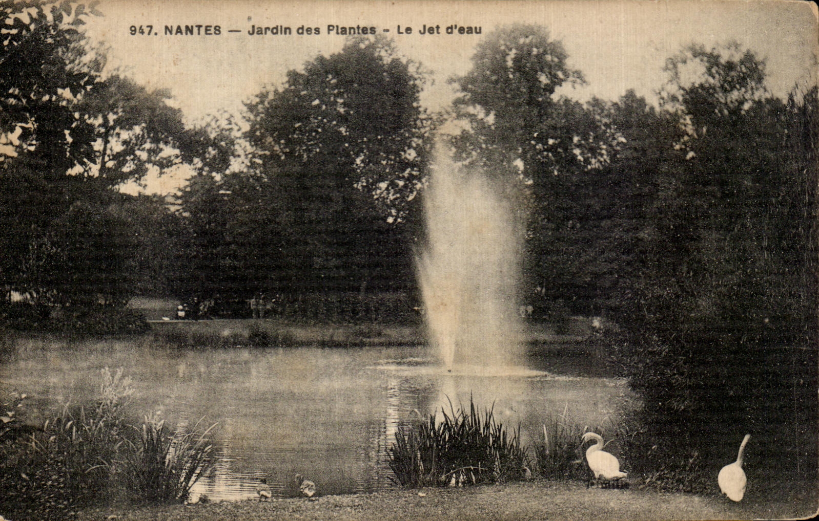CPA Nantes Botanical garden the Jet water Cygen Swan