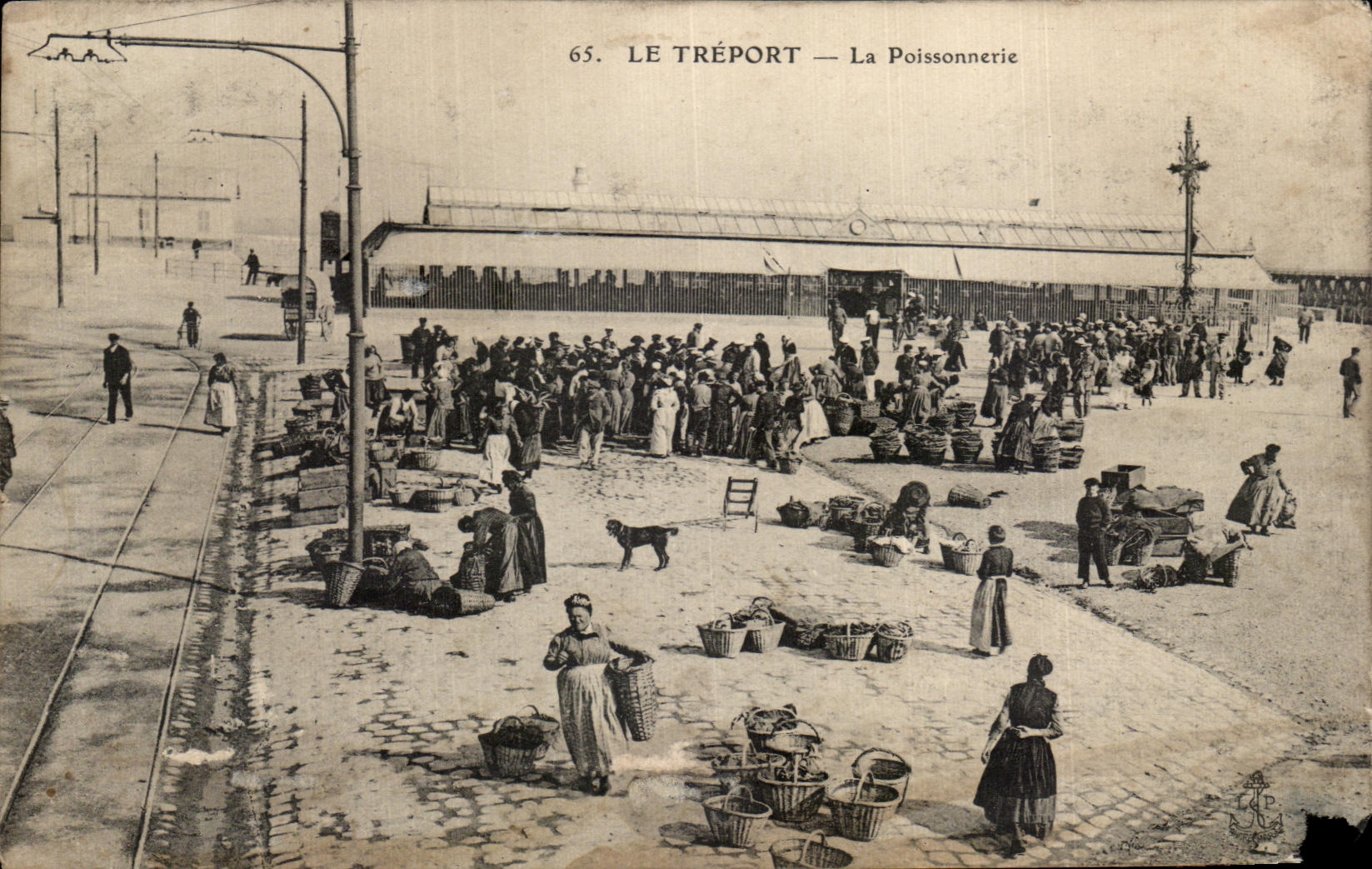 CPA Treport Fish shop TOP