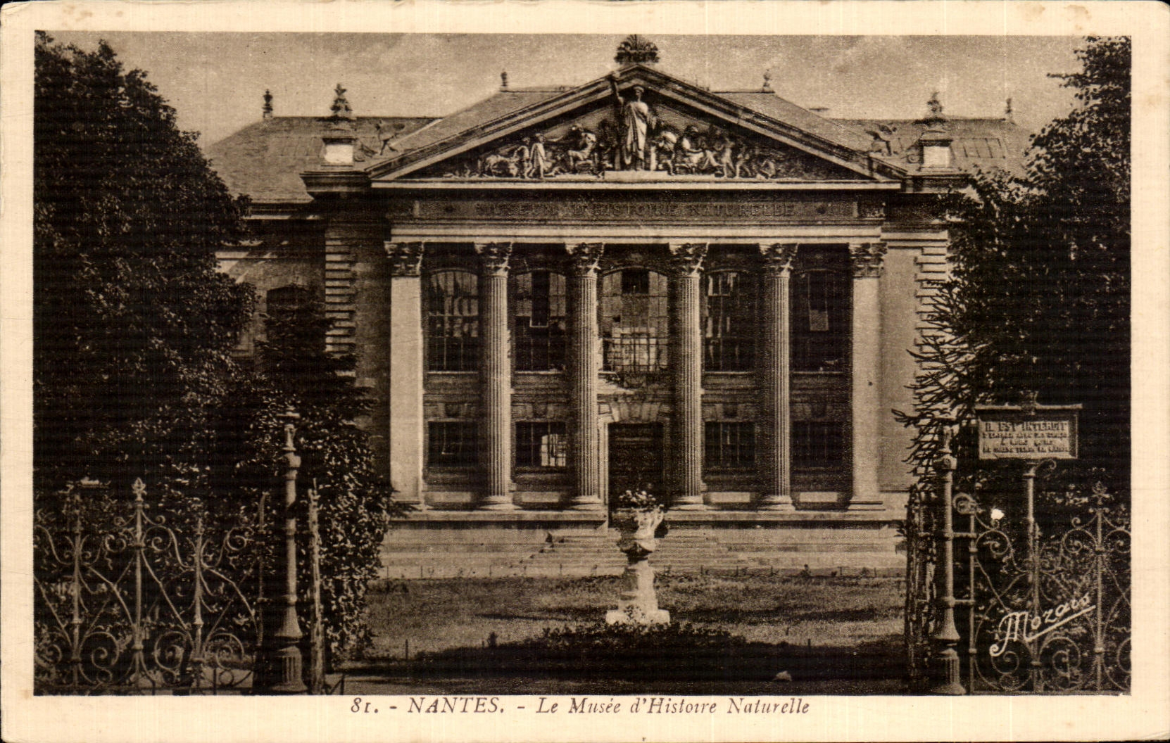 CPA Nantes the Museum Histore Natural