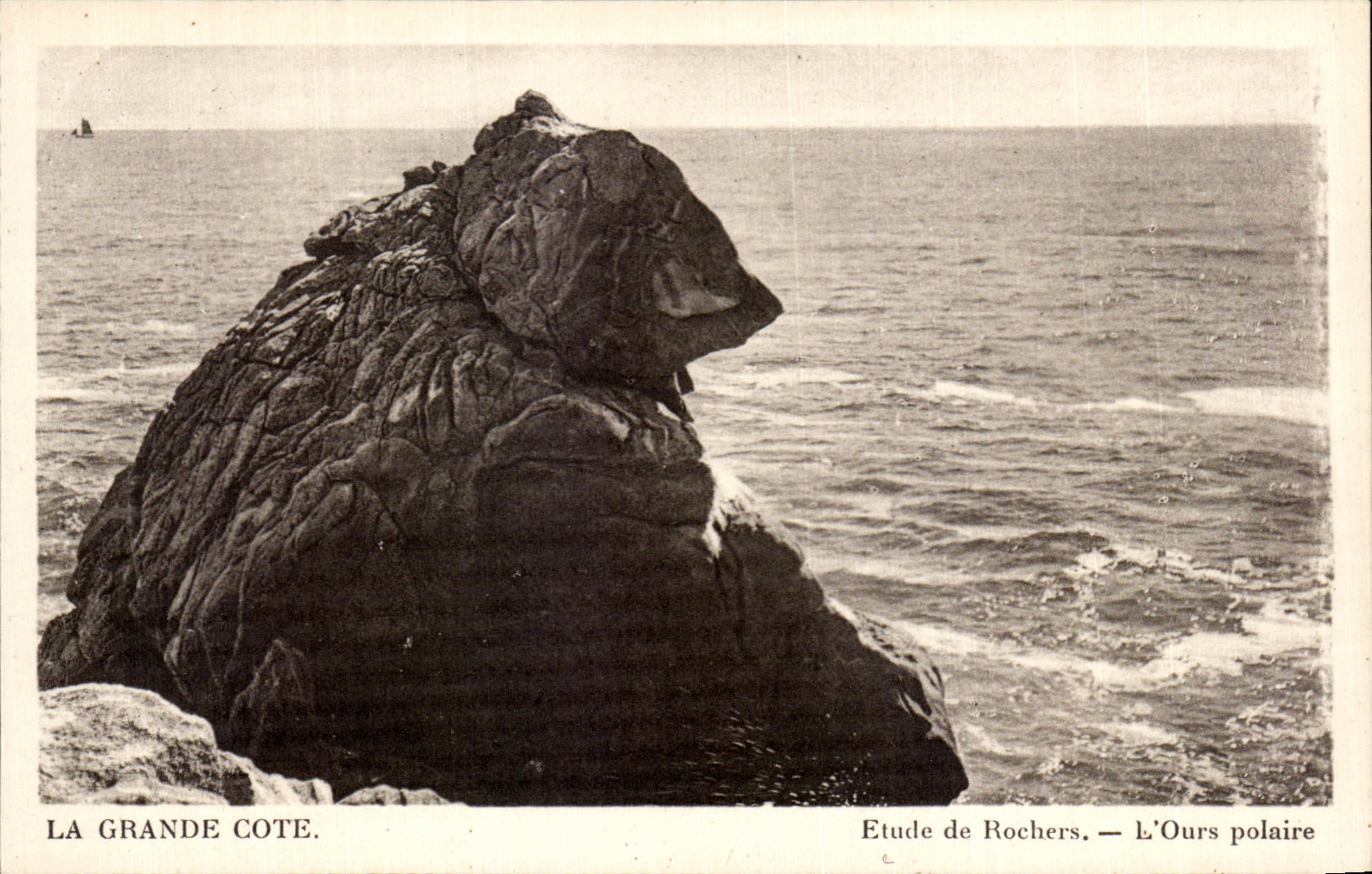 CPA los grandes detalles de la dimension del oso polar del oso polar de las rocas