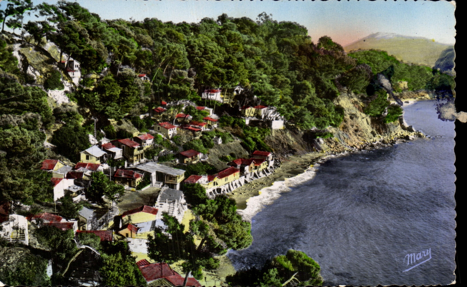 CPSM the Of the department of Var Dimension the Pine of Gailes Toulon