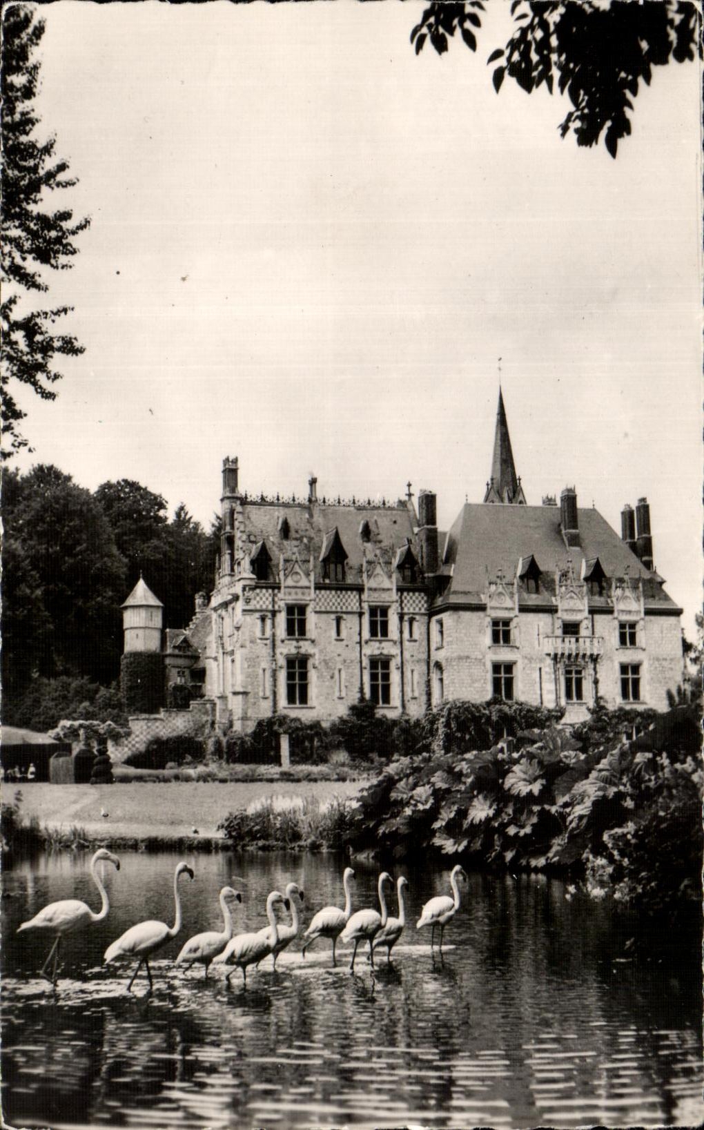 Jardines zoologicos De Cleres Frontage de CPA del castillo y del parque zoologico de las rosas de Flaments