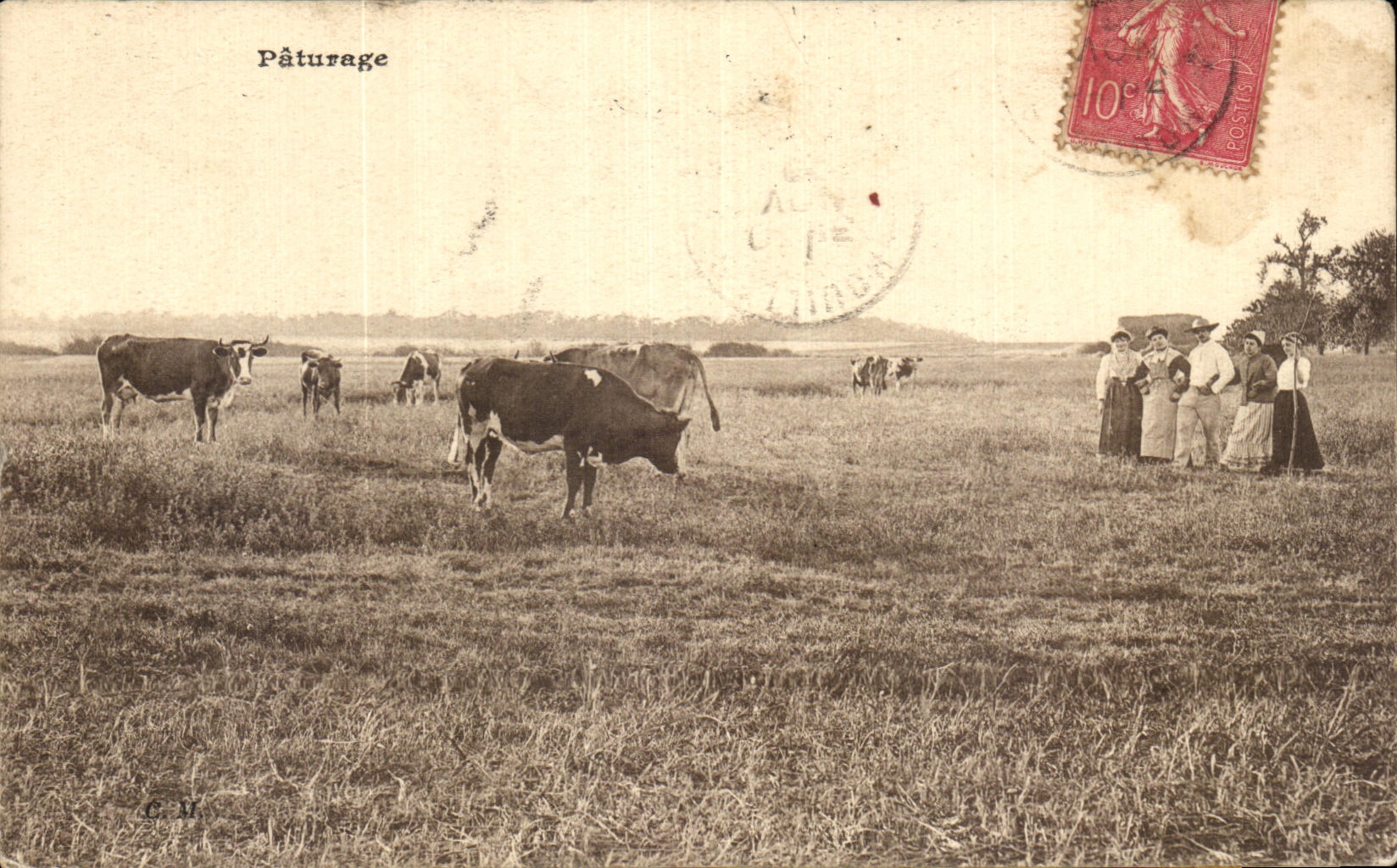 CPA Paturage Vaches