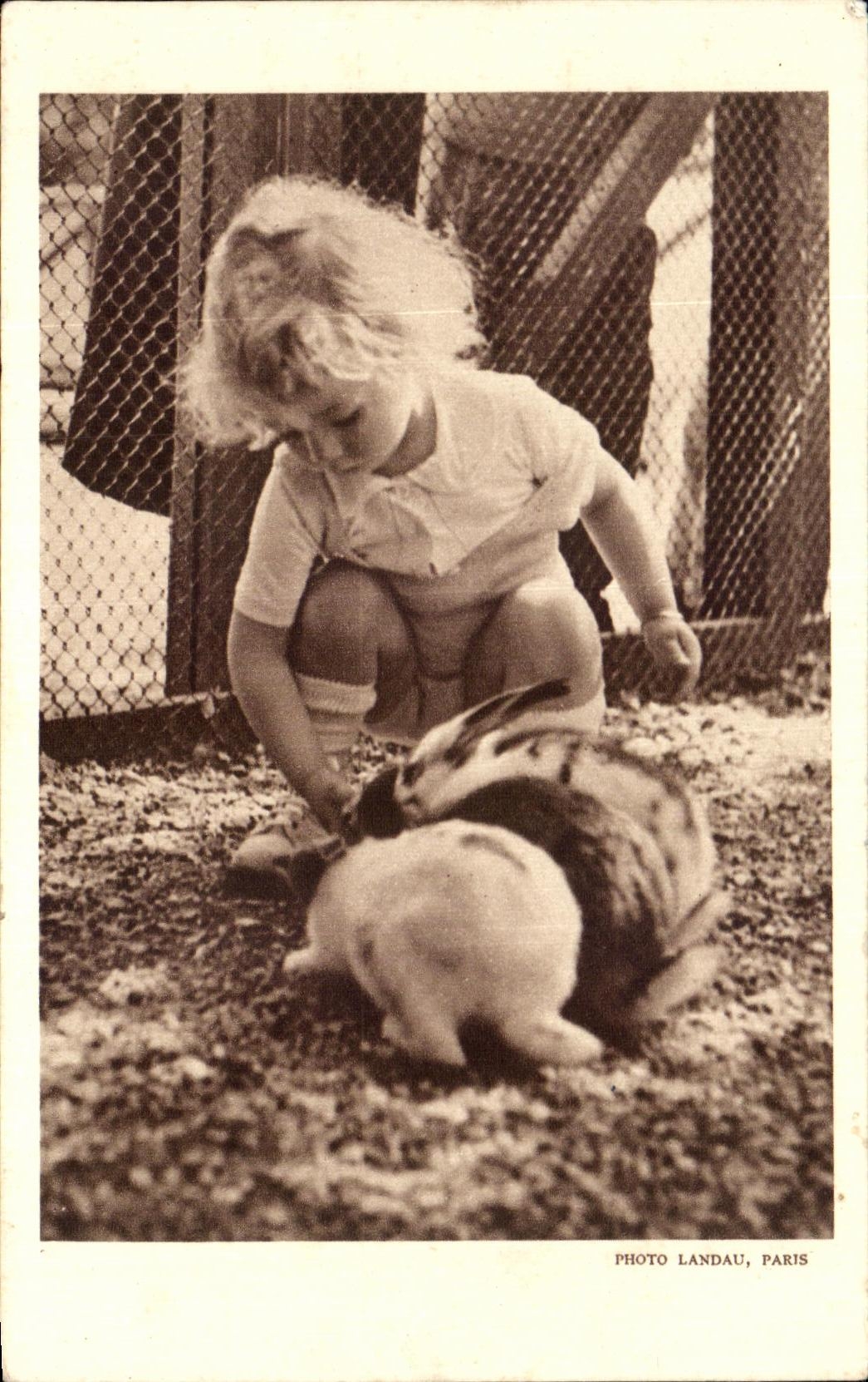 CPA Baby   the Rabbits