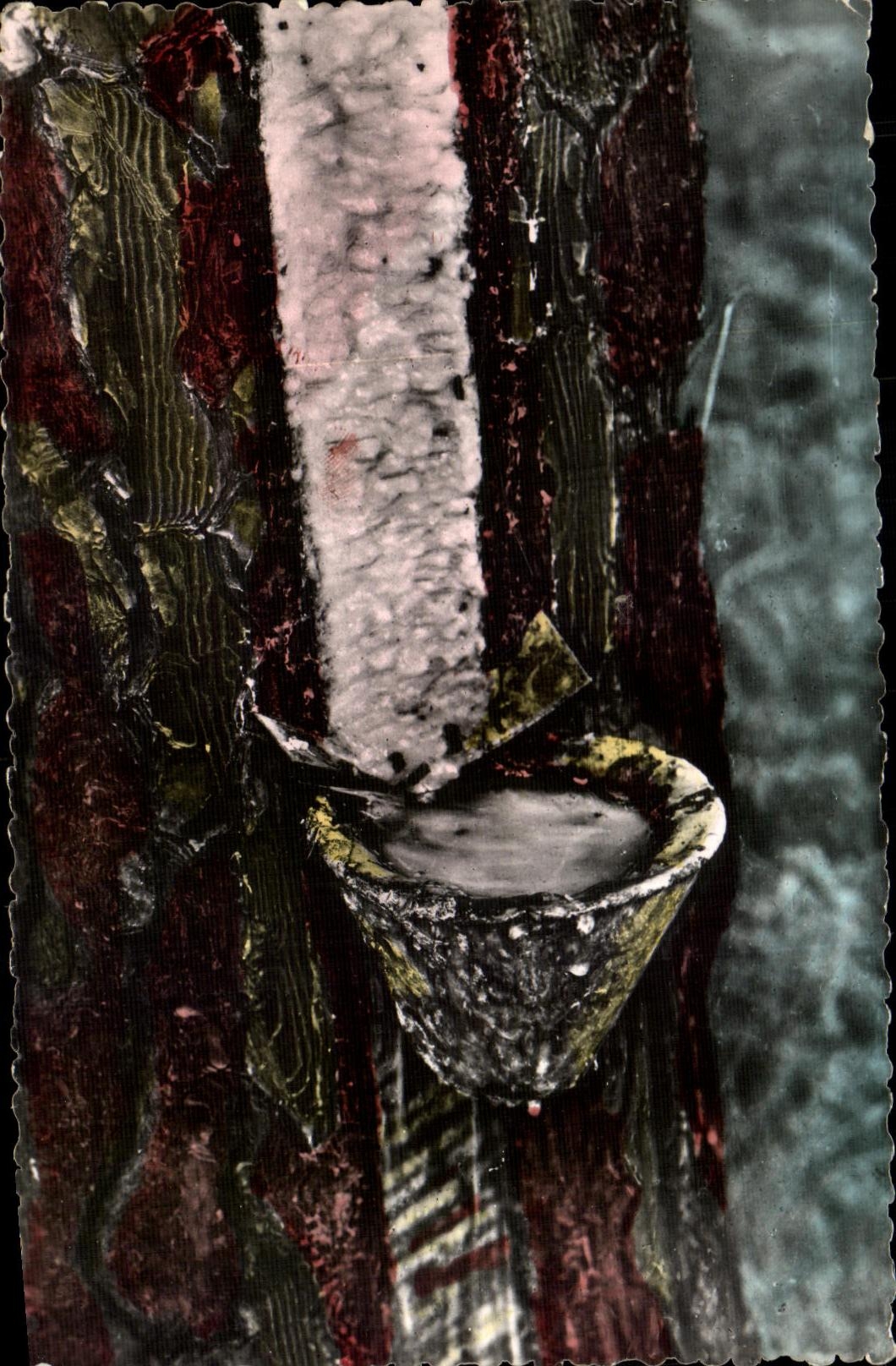 CPA Picturesque Moors Out of forest Pot of resin