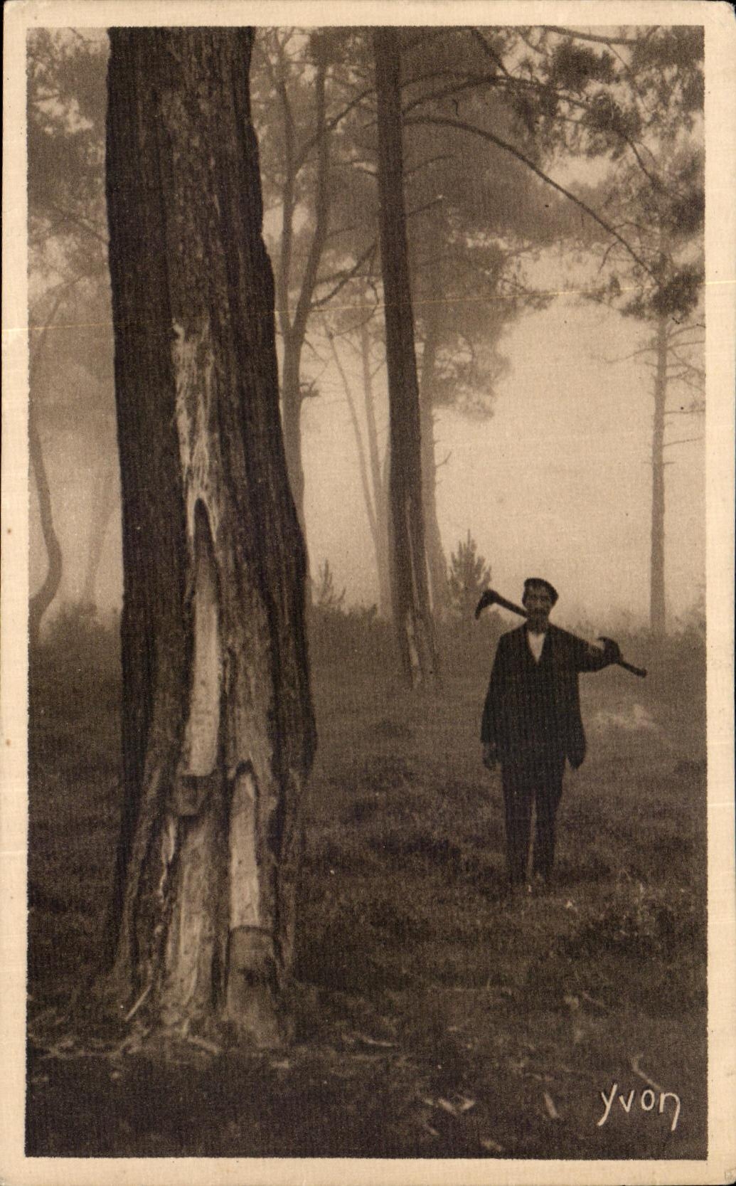 CPA Moors the gemmor torturer of the large pines