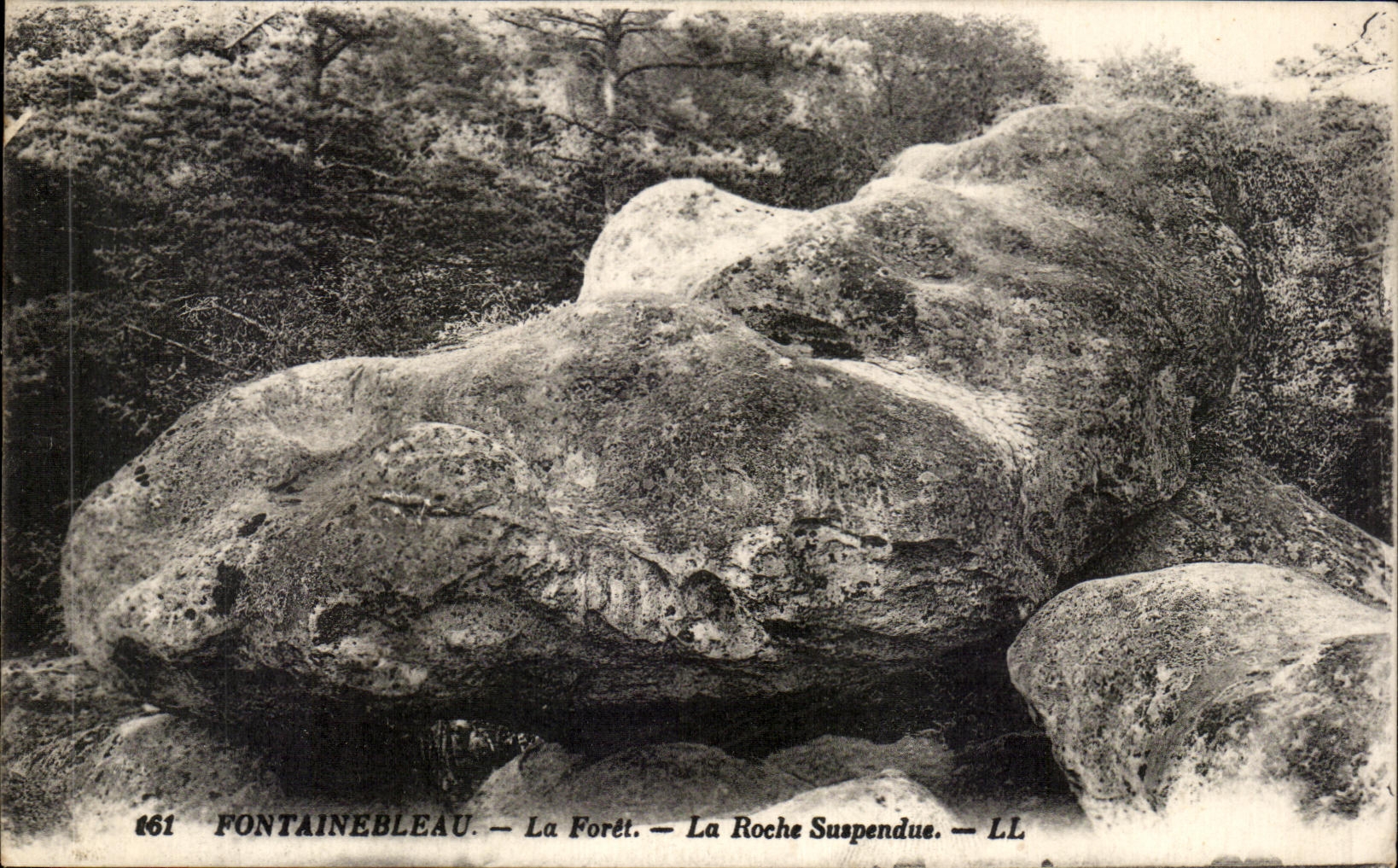CPA Fontainebleau La Foret La Roche Suspendue