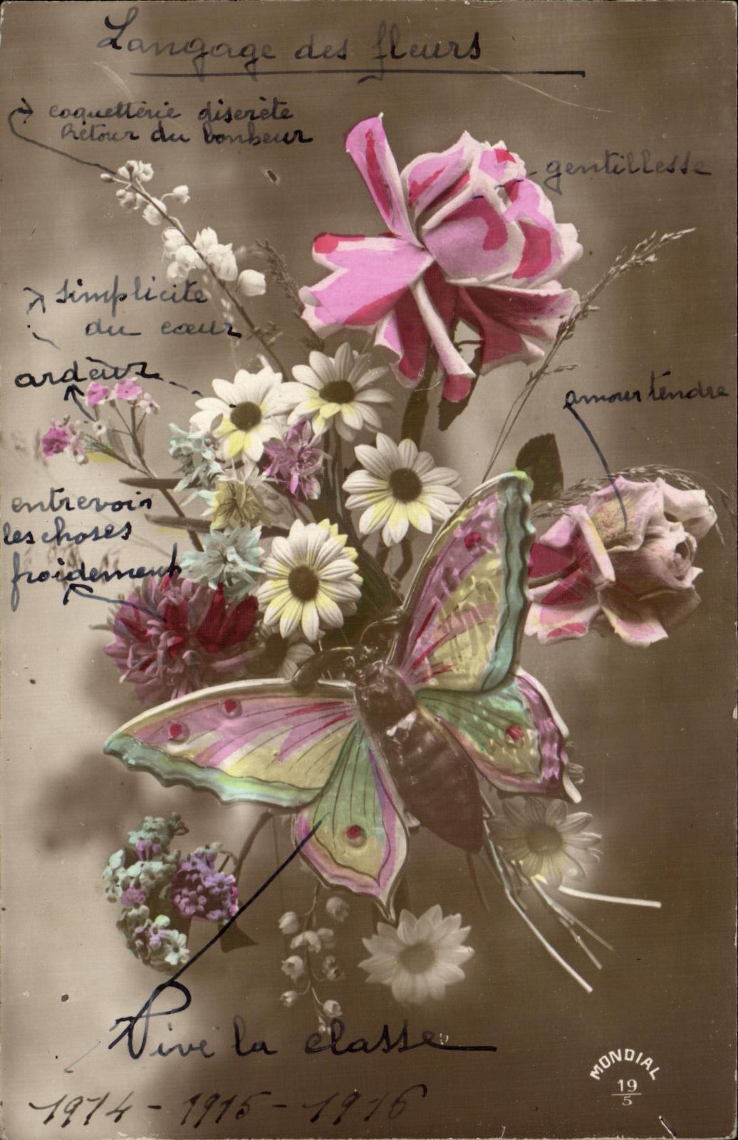 CPA Fleurs Papillon Butterfly