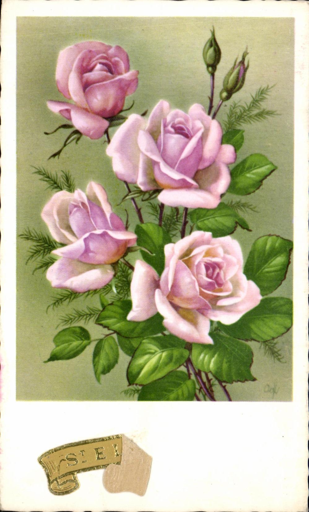 CPA Fleurs Plantes et Arbres