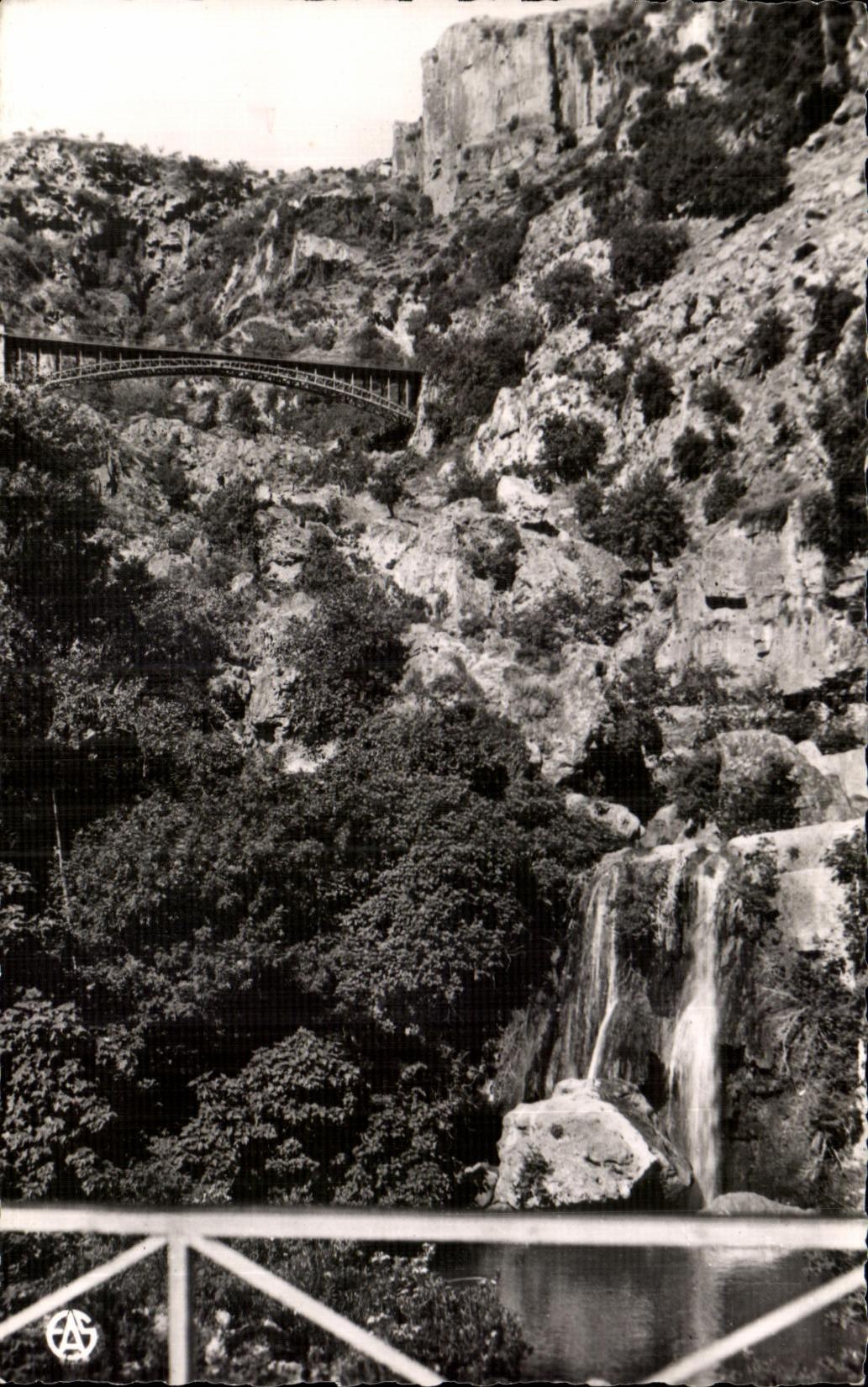 CPA Algerie Tlemcen Les Cascades du Meffrouch