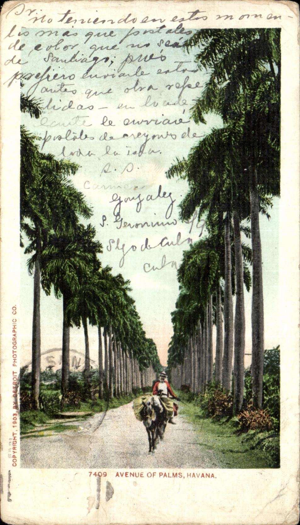 CPA que ocurrio de las palmas La Habana