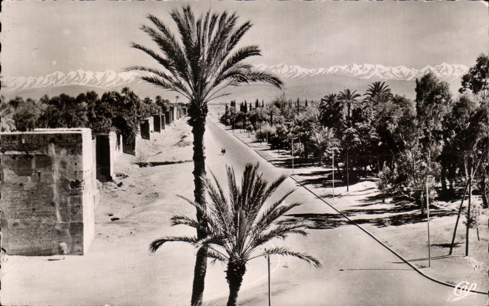 CPA Marrakech Les Remparts et Chaine de l Atlas
