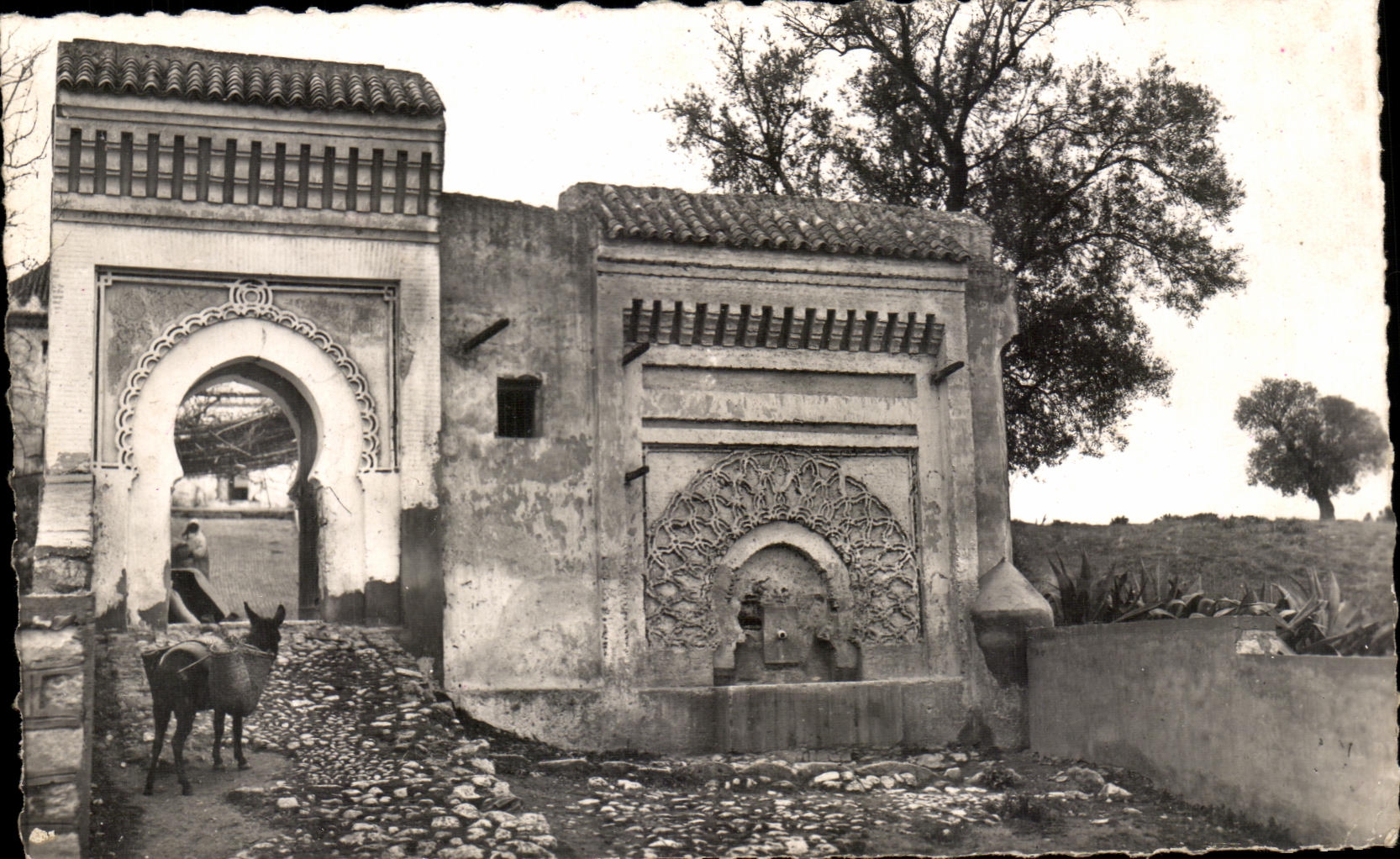 CPA Meknes Fonraine et Porte sur les Remparts