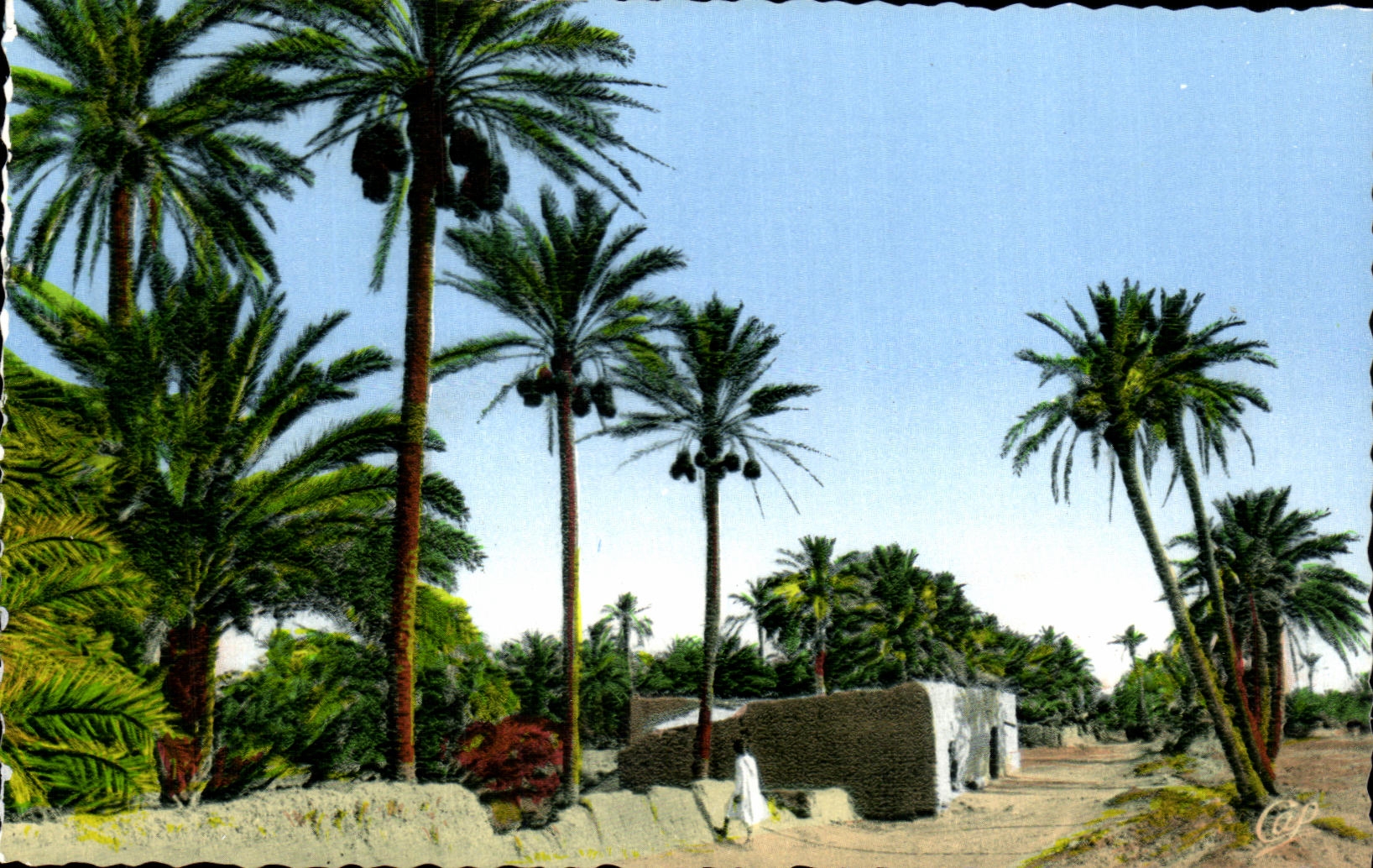 CPA Scenes Et Types Une boutique bien achaladee