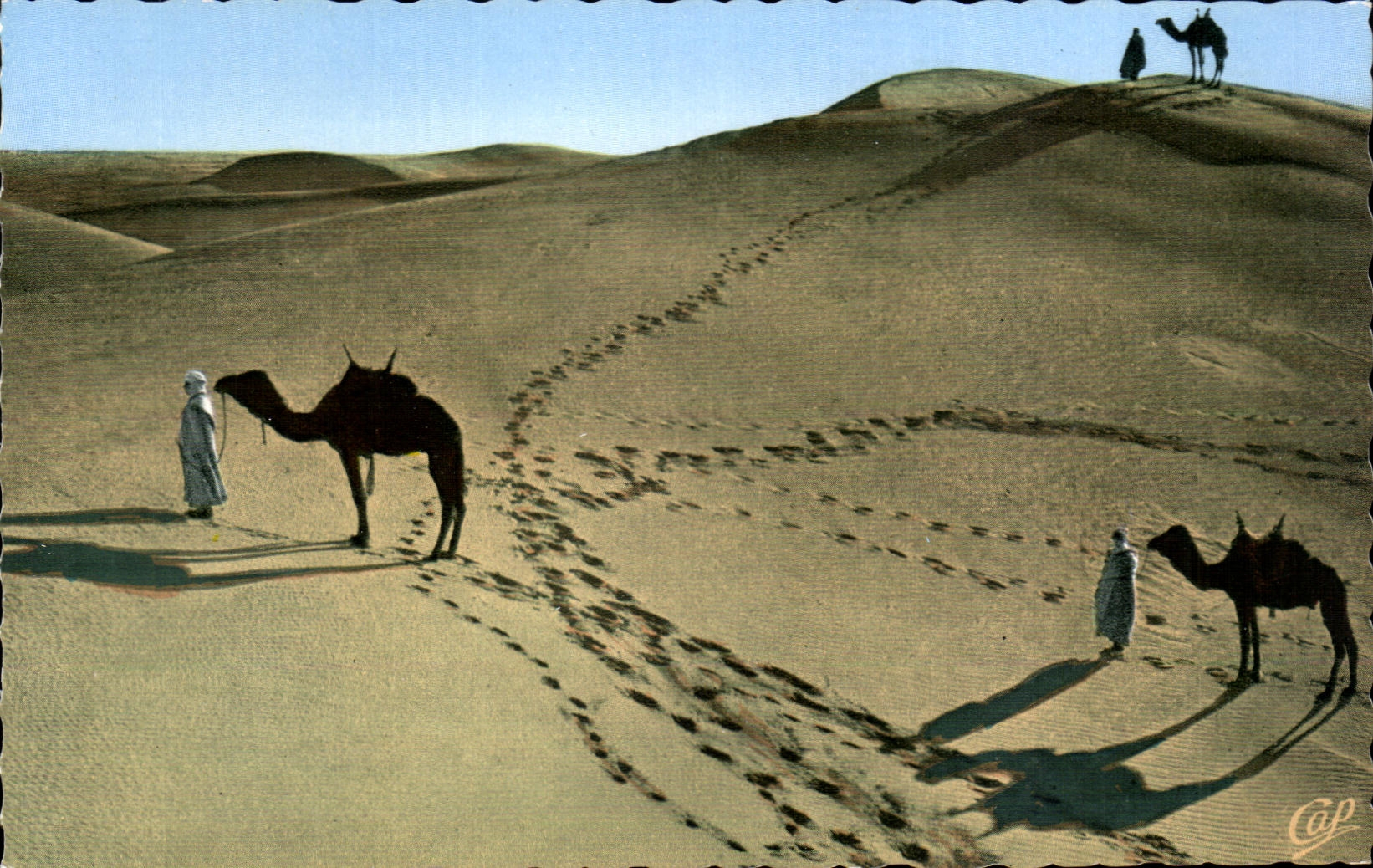 Escenas y tipos arena de CPA de las dunas