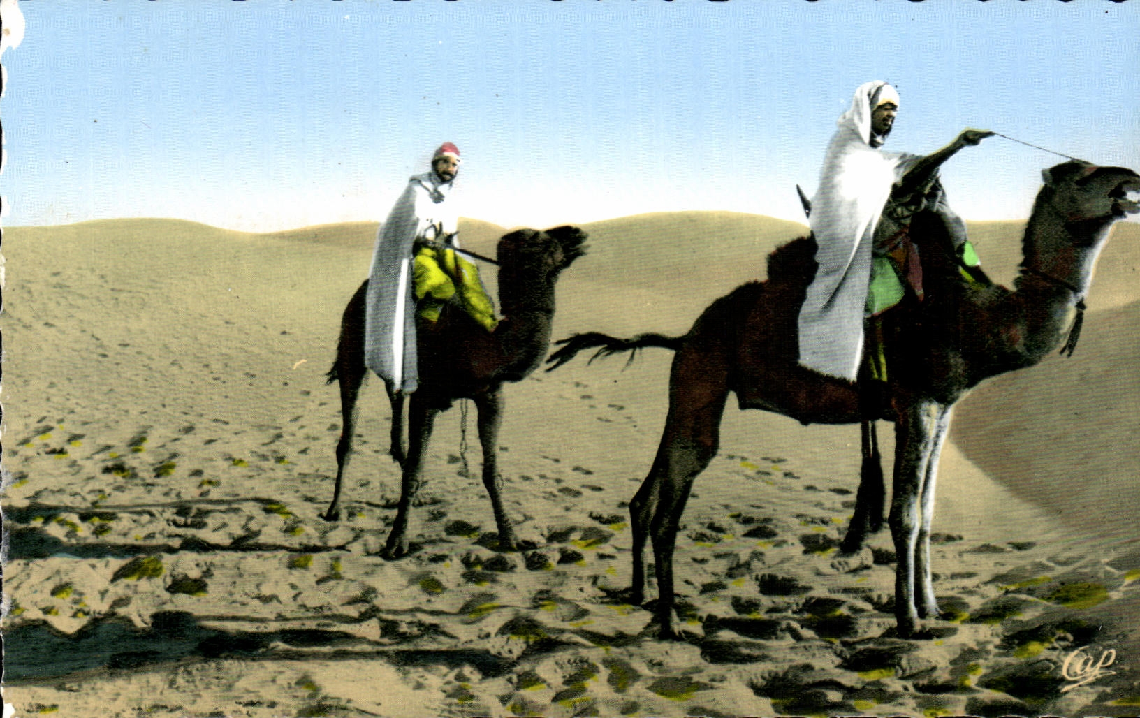 Escenas y tipos Meharistes de CPA que cruza el camello del camello del desierto