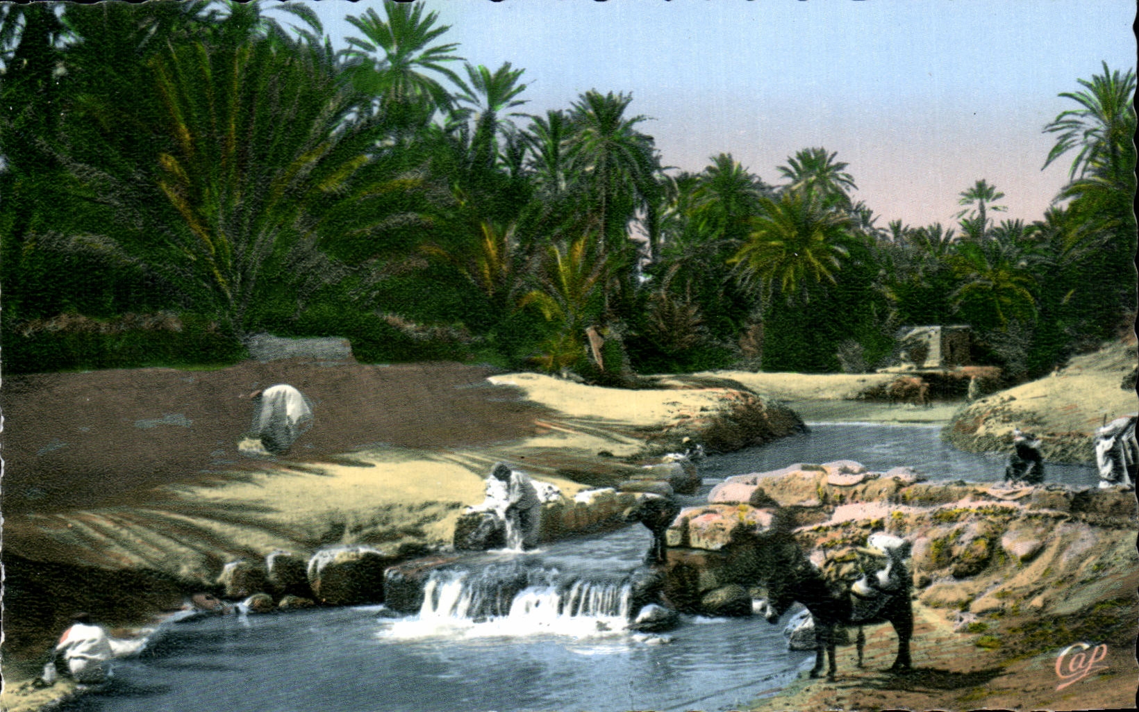 Escenas y tipos de CPA una detencion en burro del asno del lecho de un rio seco