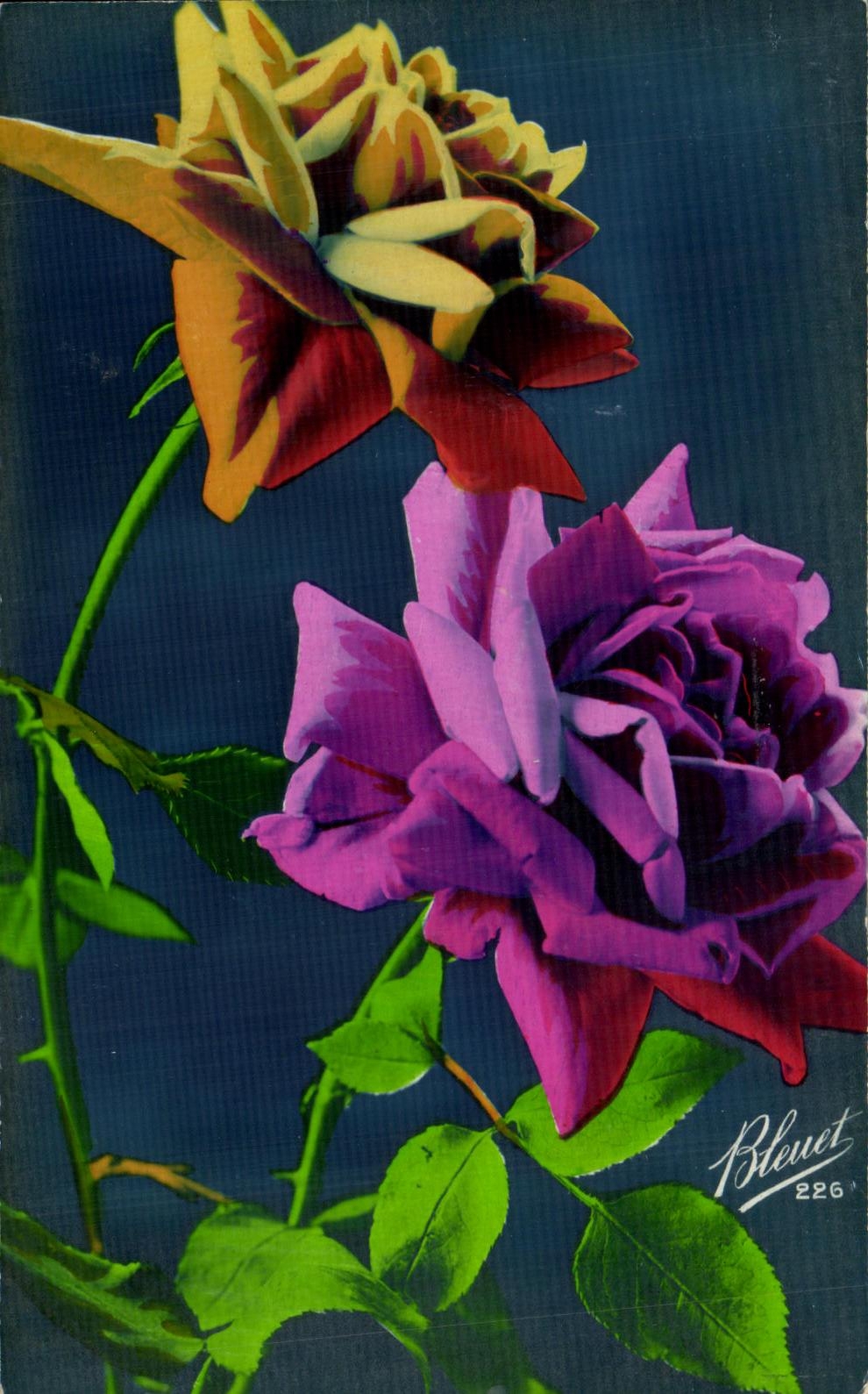 CPA Fantaisie Fleurs Bleuet