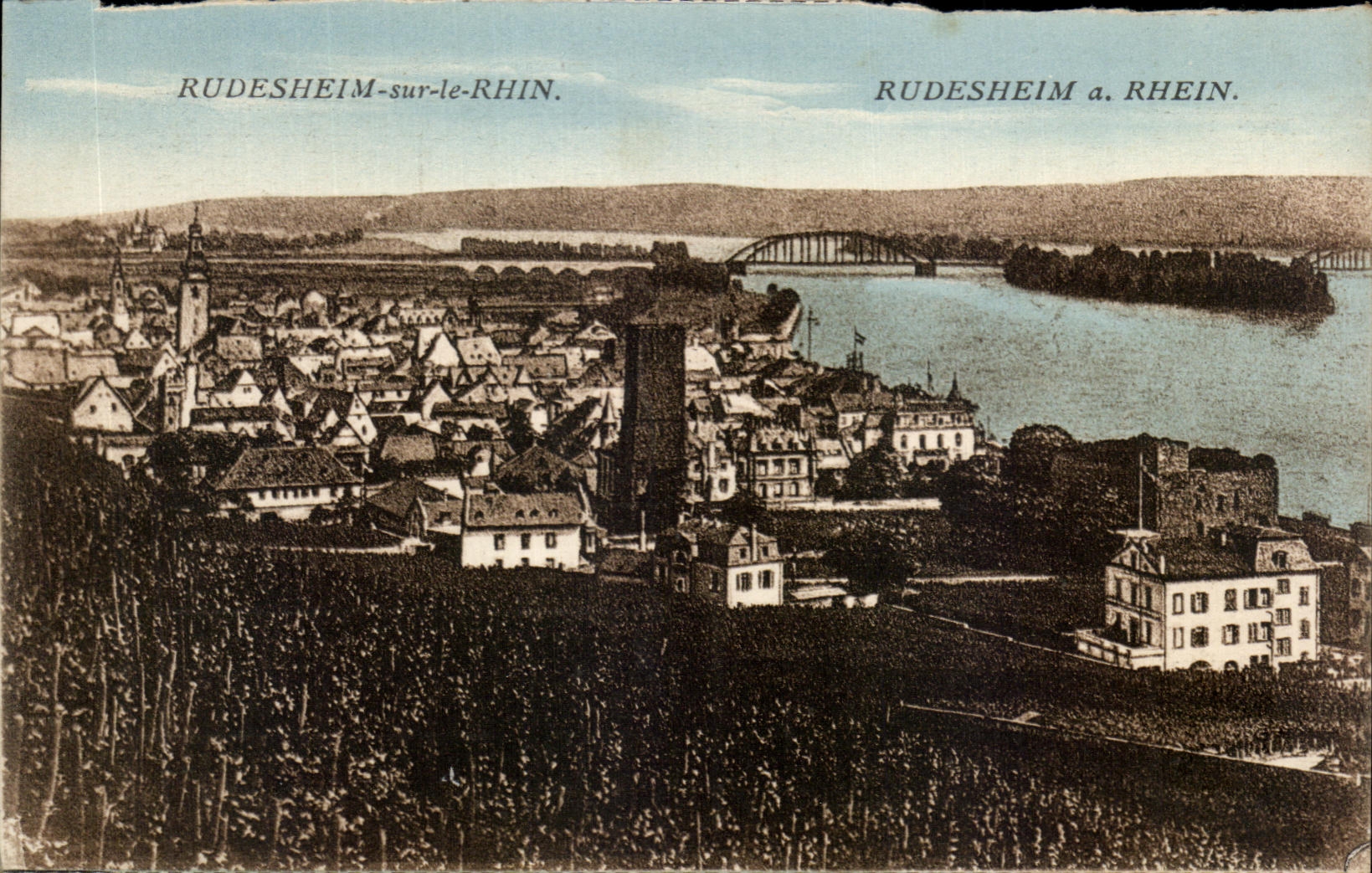 CPA Rudesheim on the Rhine