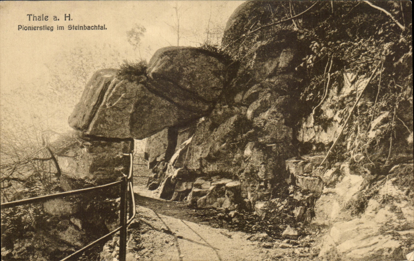 CPA Thallus Pionierstieg im Steinbachtal