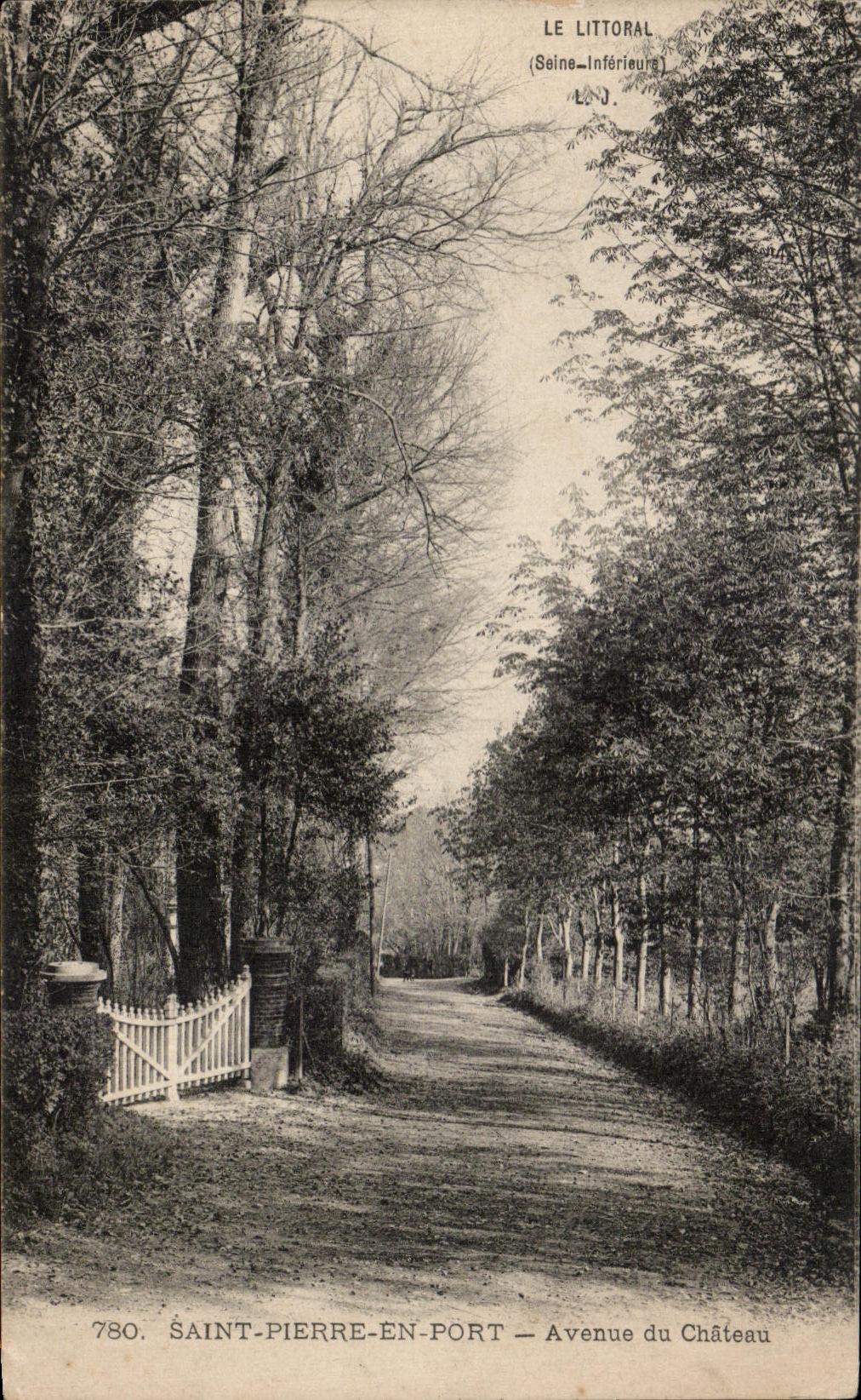 CPA Saint Pierre In Port Avenue of the Castle