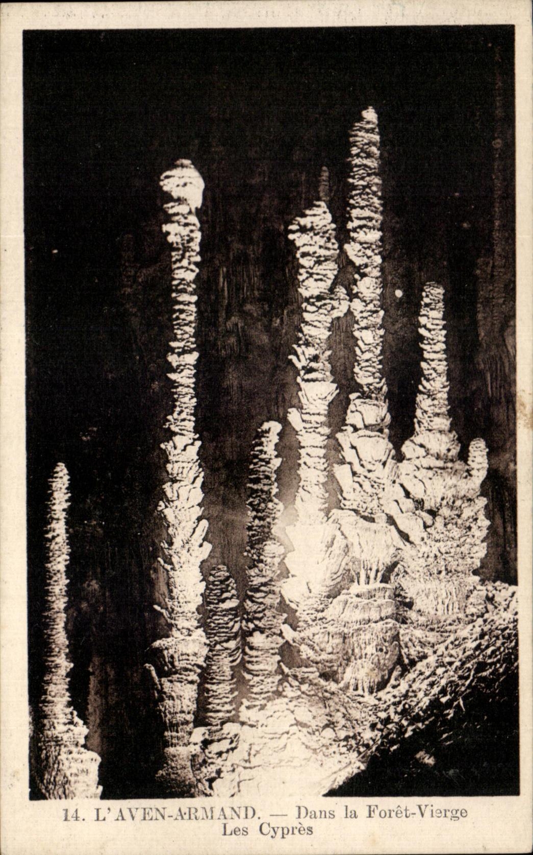 CPA Swallow-hole Armand In the Virgin forest Cypresses