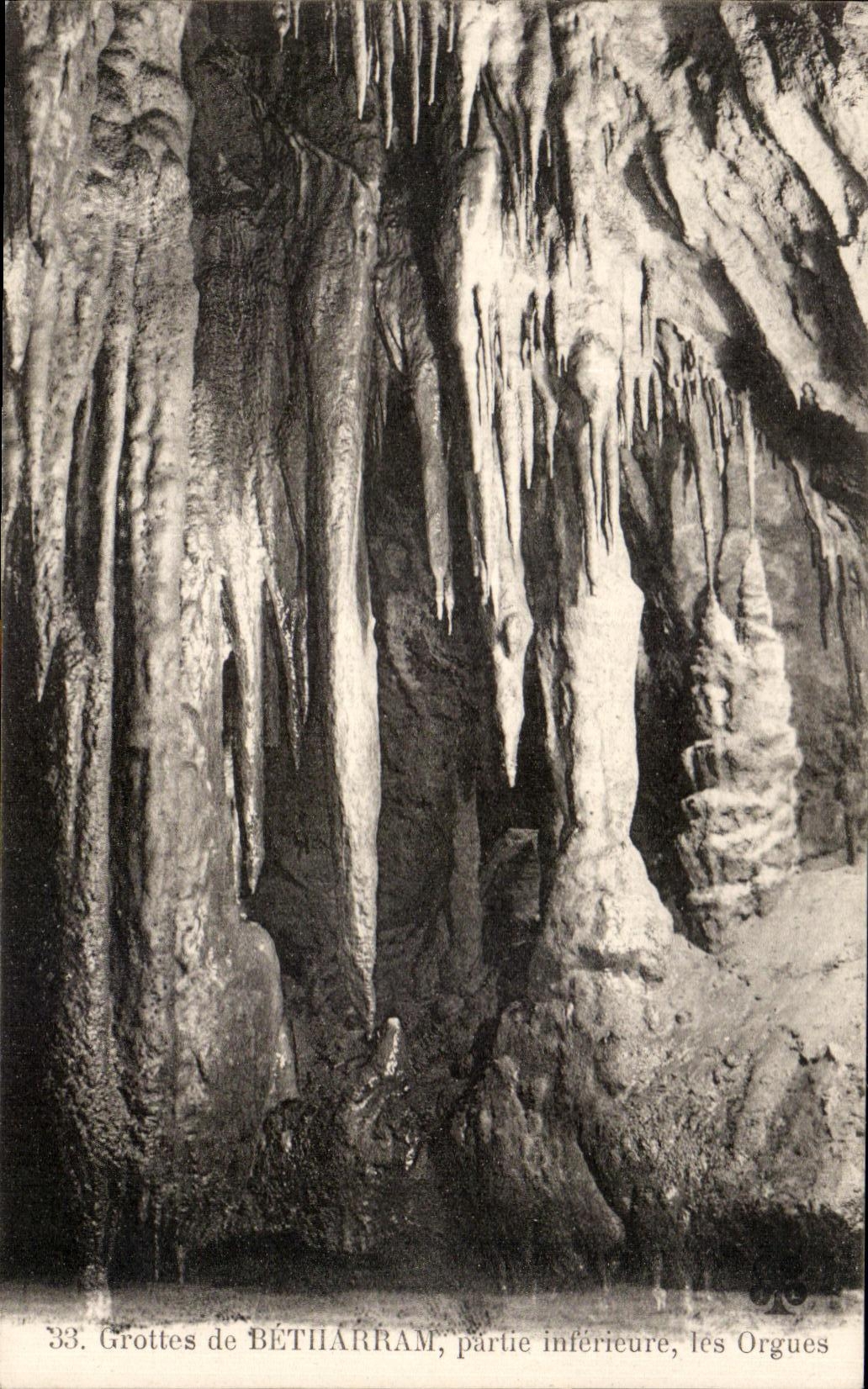 CPA Grottes De Betharram Partie Inferieure Les Orgues
