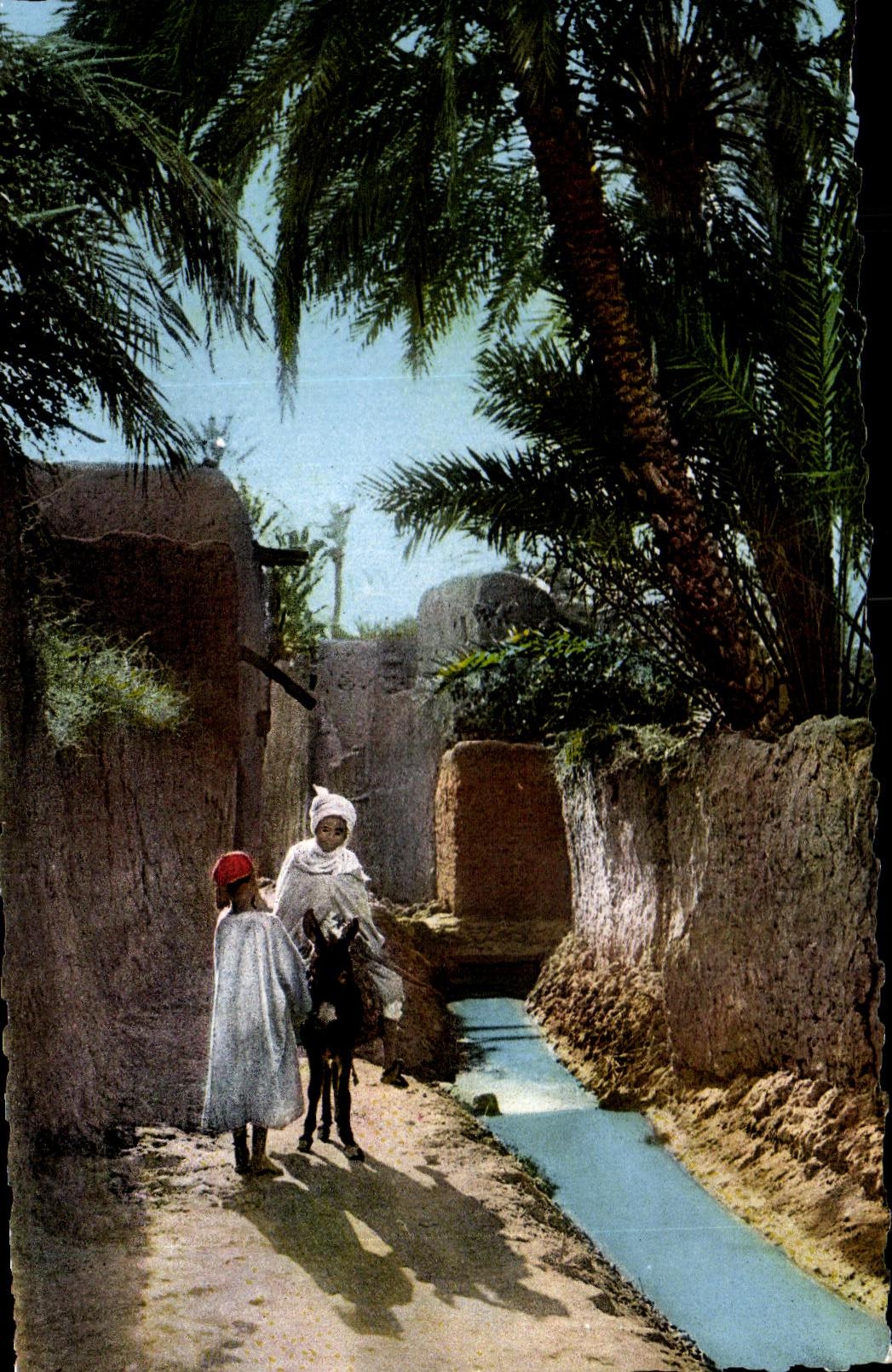 CPA Scenes   Standard North Africa Arab Seine of Village Ass Donkey