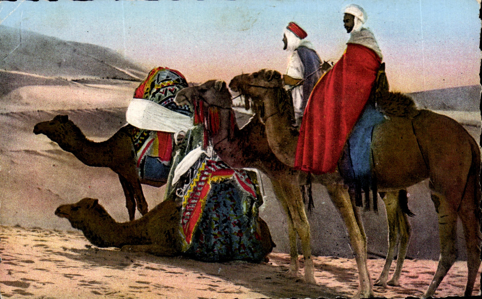 Escenas de CPA y Africa del Norte estAndar hacia el camello del sur del camello