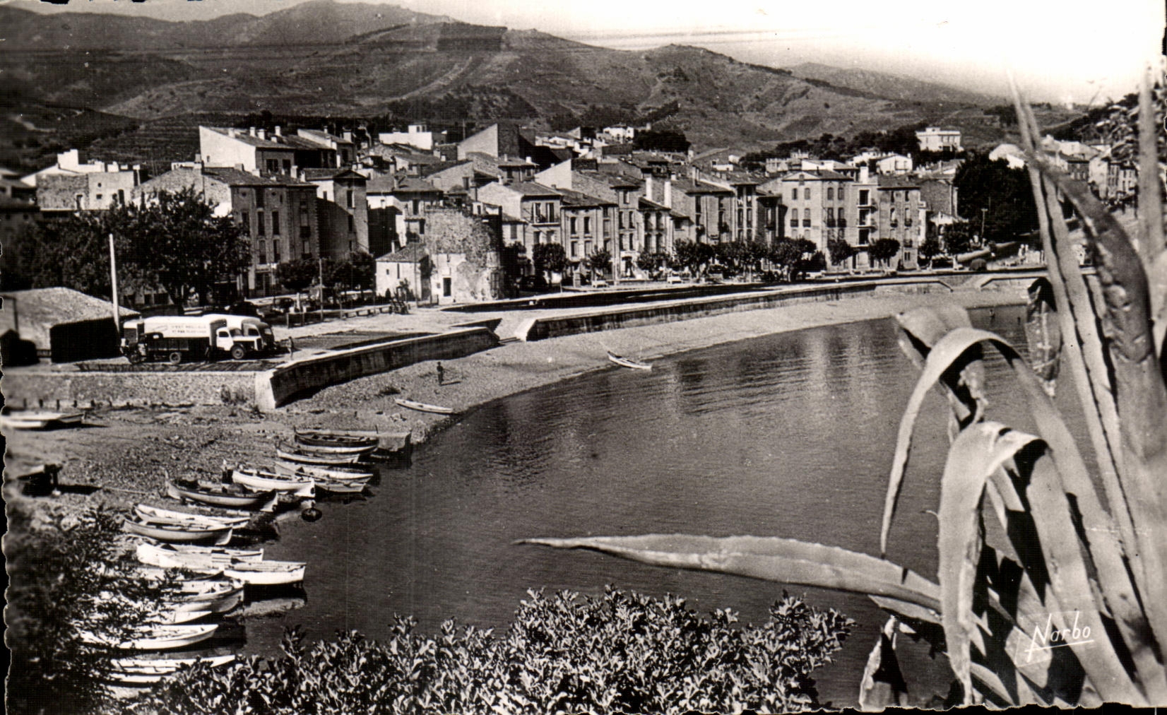 CPSM Collioure the Beach of the Suburb