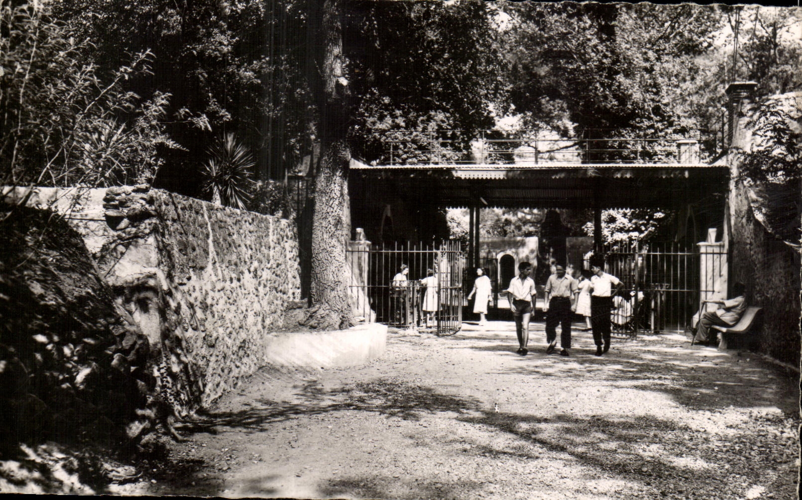 CPSM Le Boulou Source Clementine