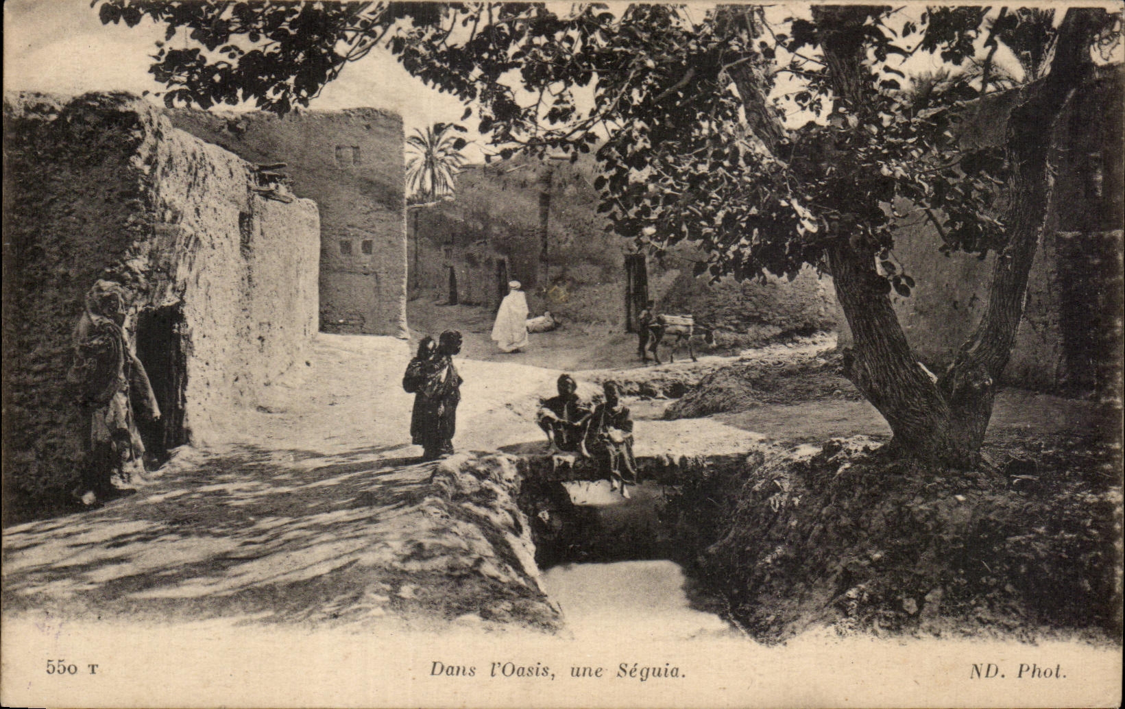 CPA In Oasis an Irrigation channel Algeria