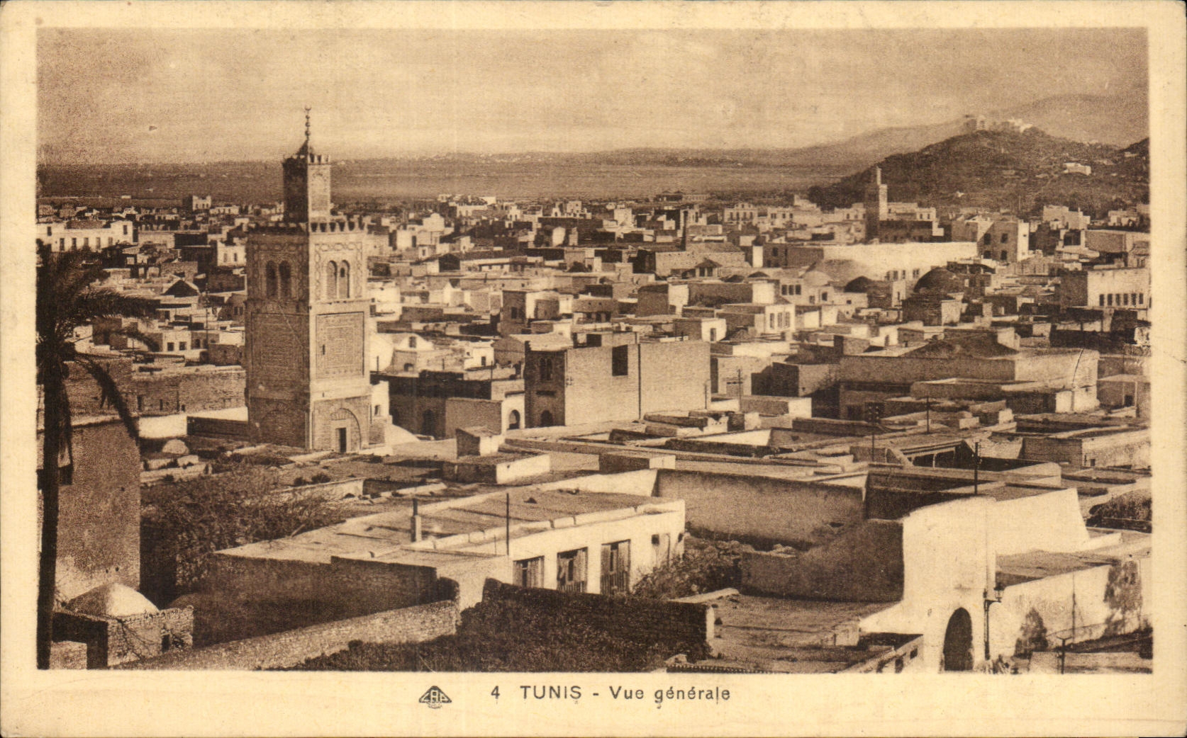 CPA Tunis Vue Generale Tunisie 